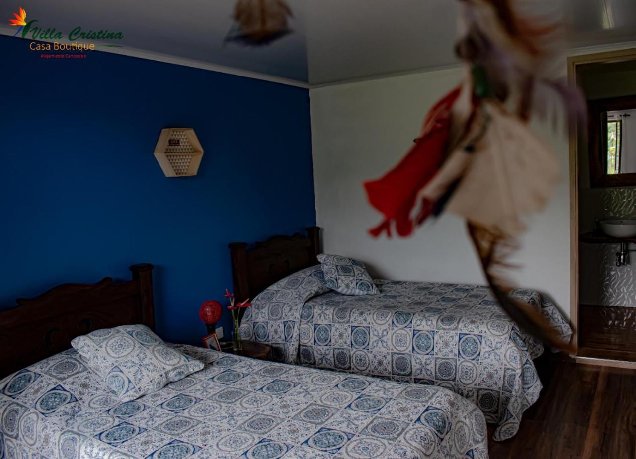 Superior Twin Room photo 3