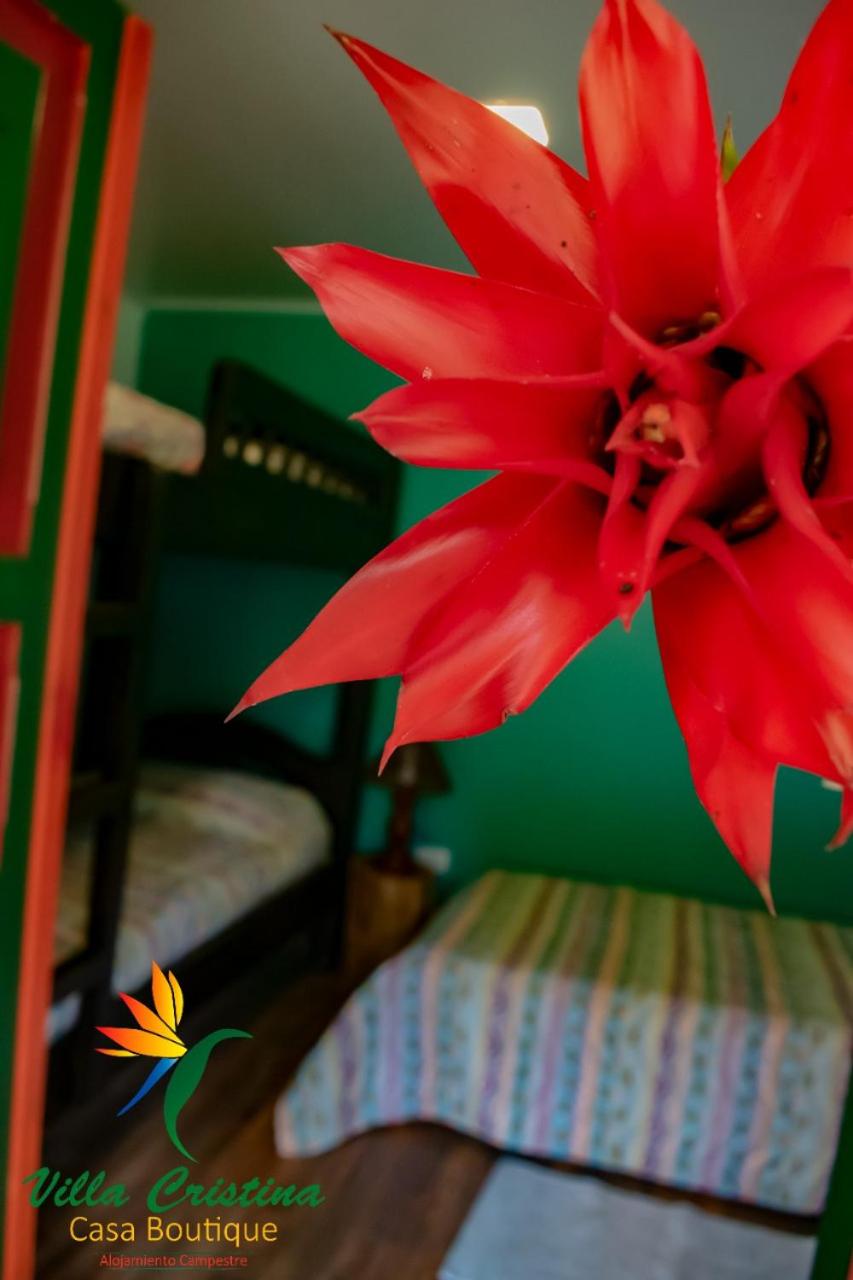 Comfort Triple Room photo 3