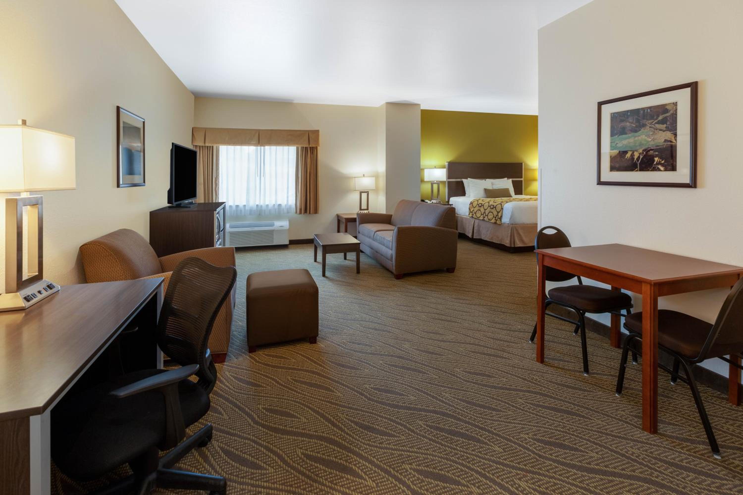 Premier King Studio Suite - Non-Smoking