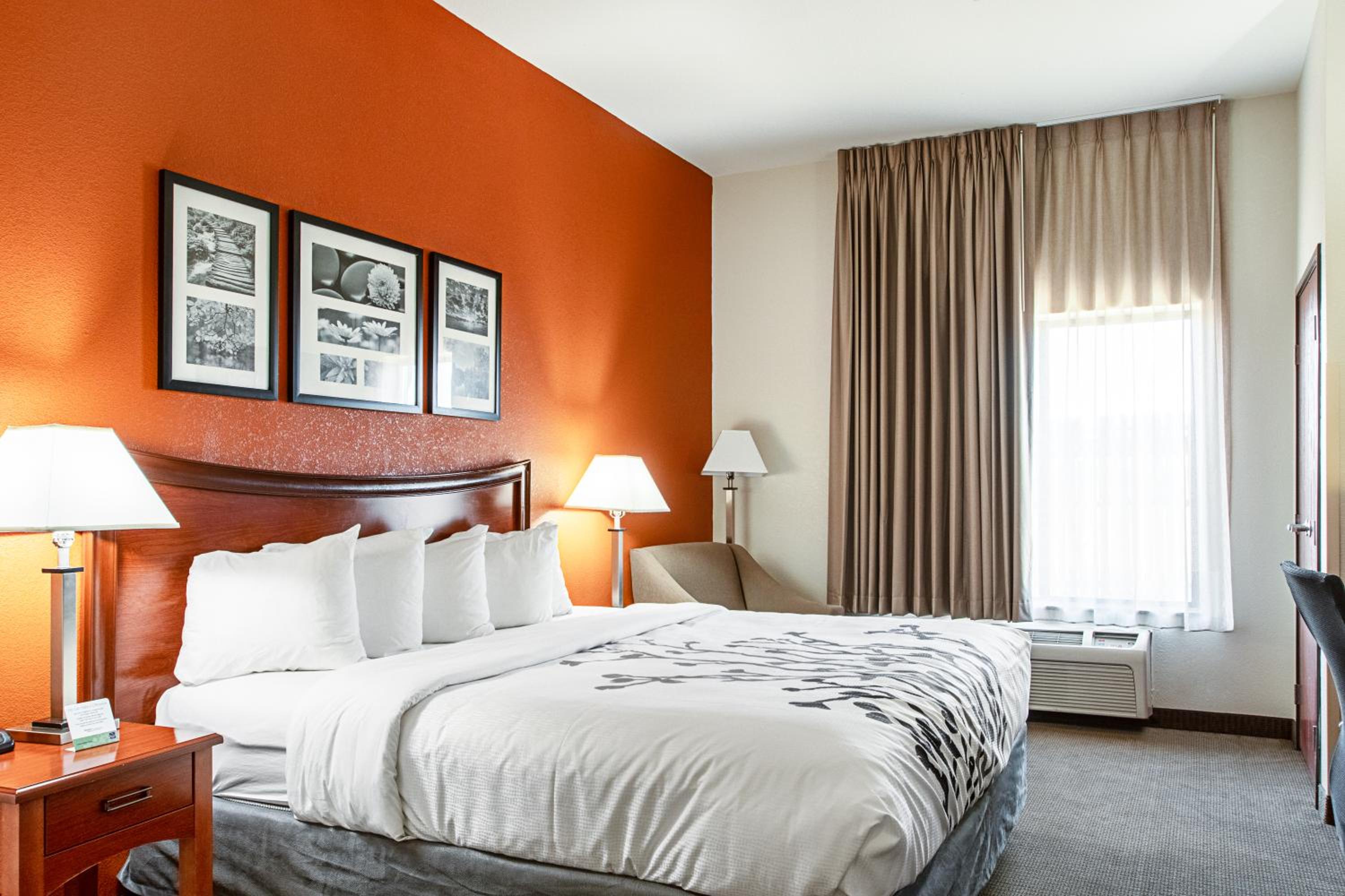 King Suite - Accessible/Non-Smoking - Photo 1