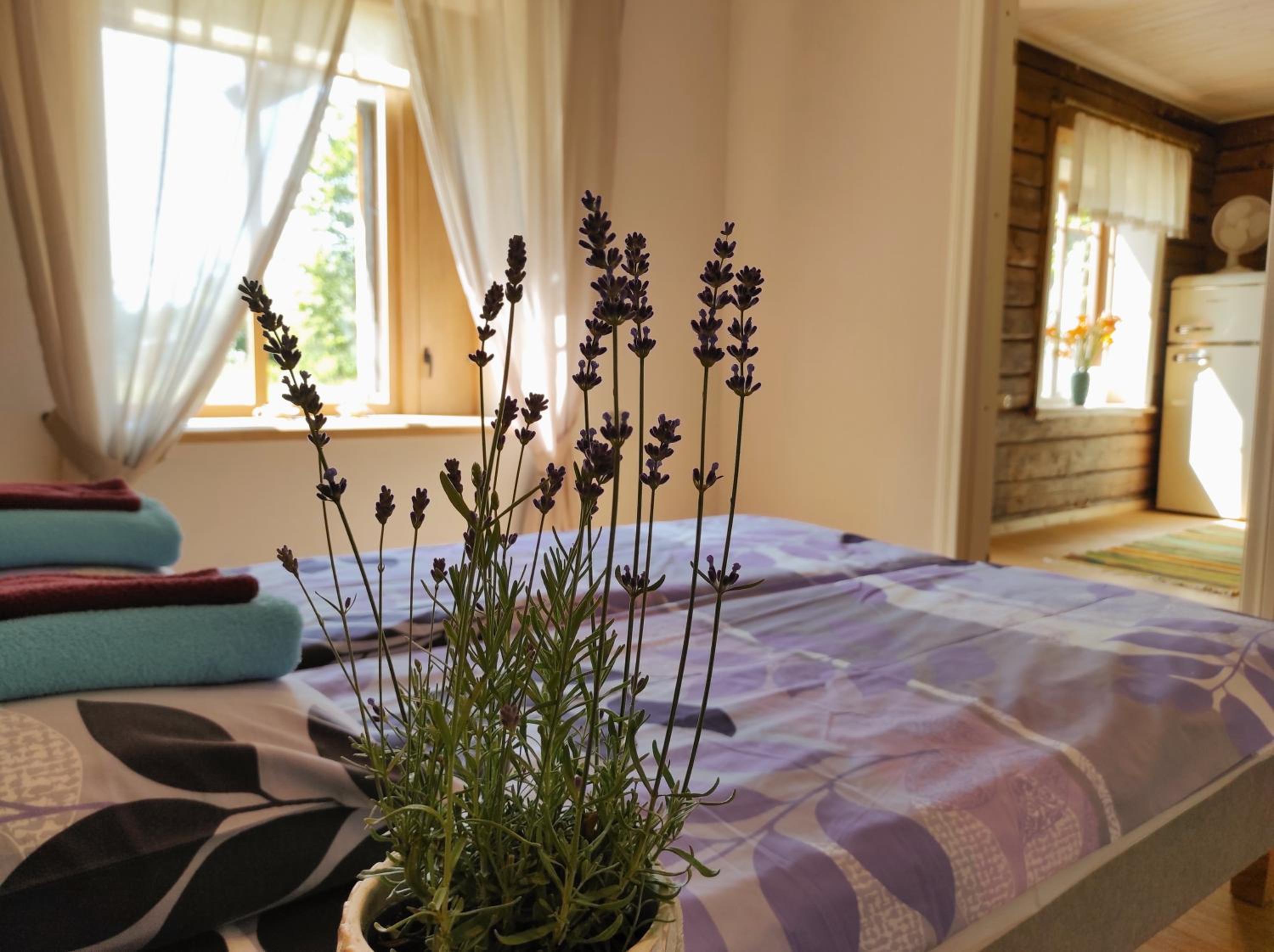 Two-Bedroom Apartment with Sauna - Alma - Photo 7