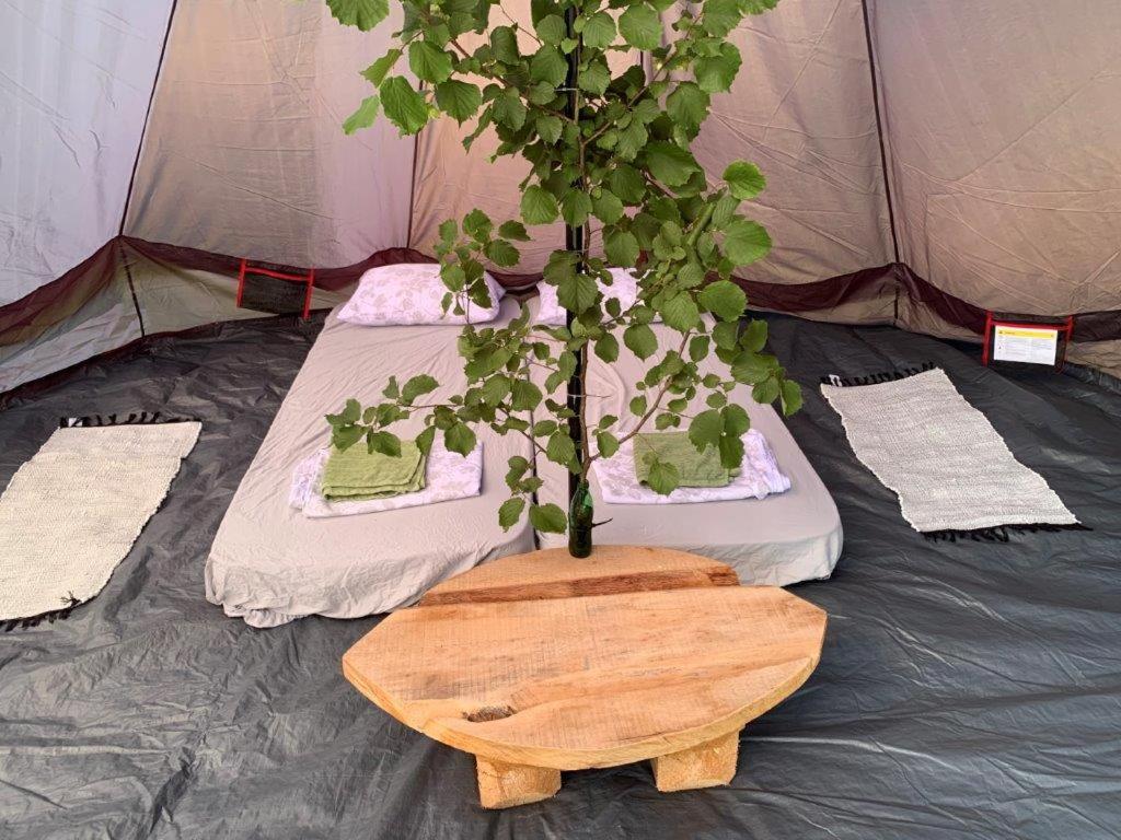 Tent - Photo 4