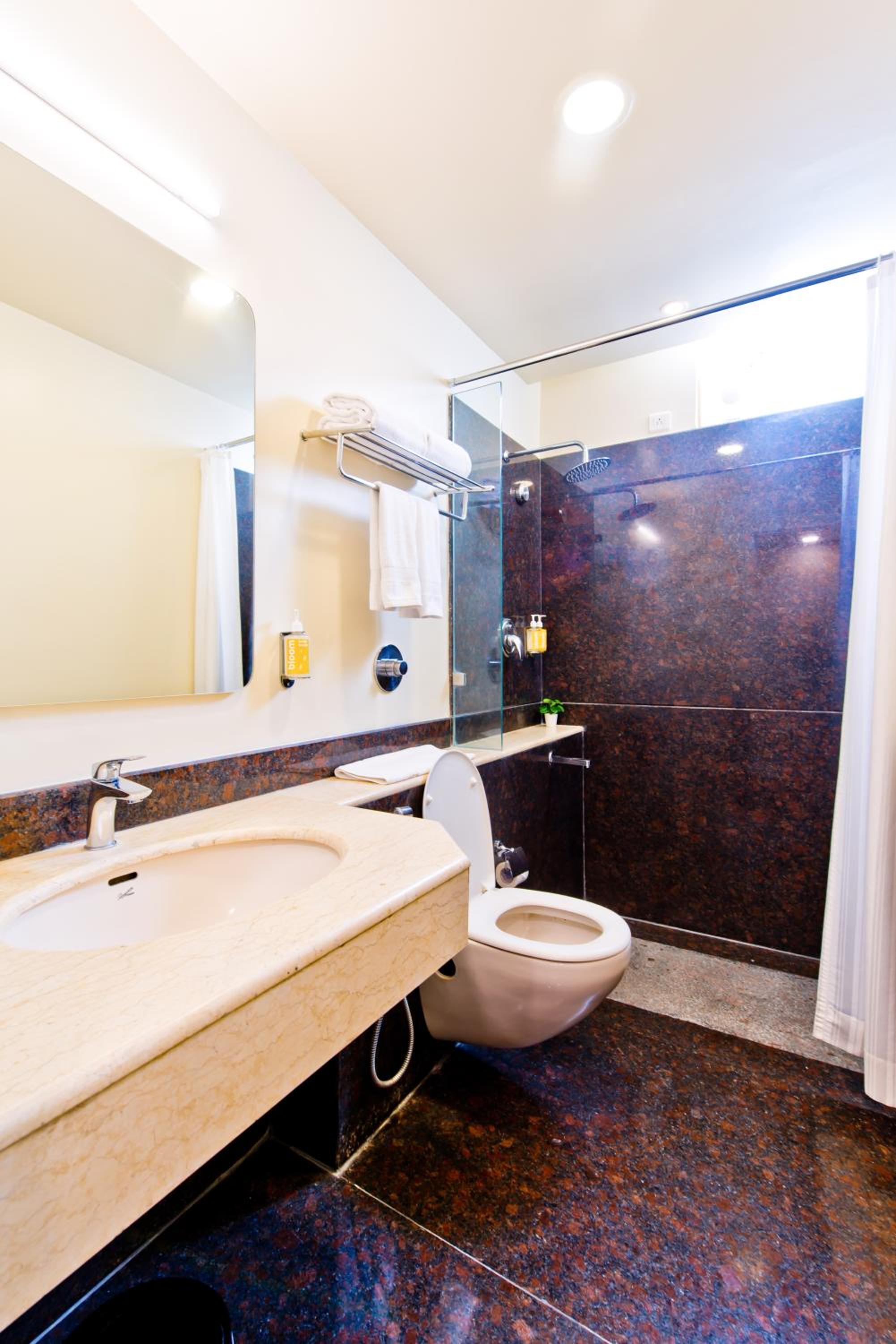 Deluxe Suite King photo 2
