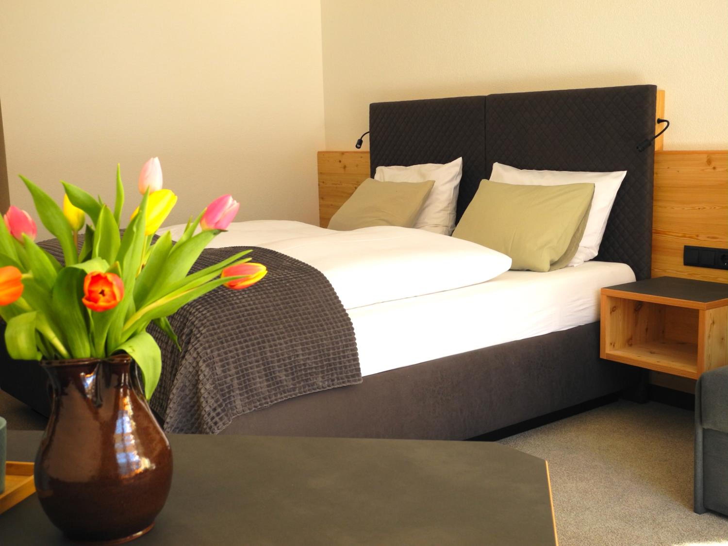 Superior Double Room photo 1