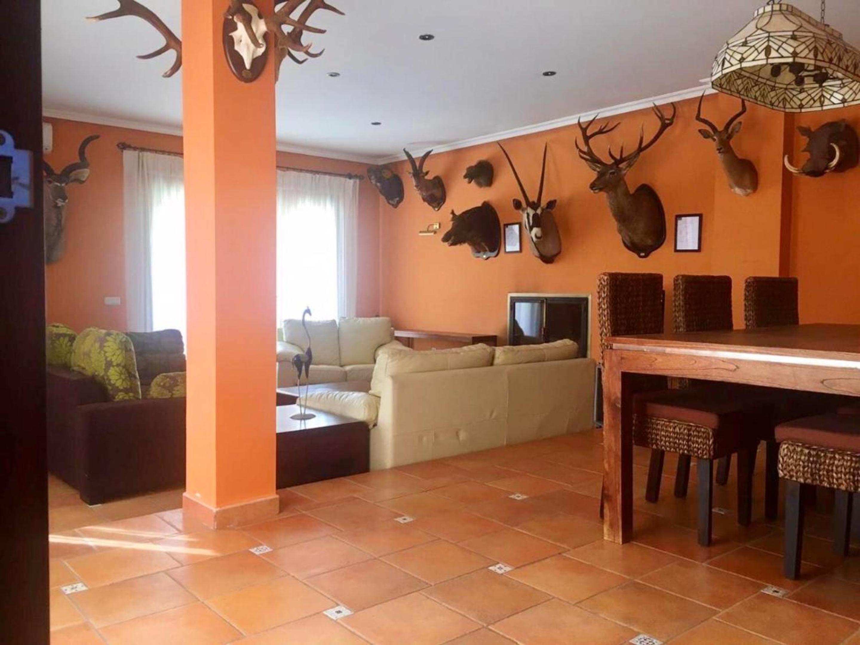 Four-Bedroom Villa photo 2