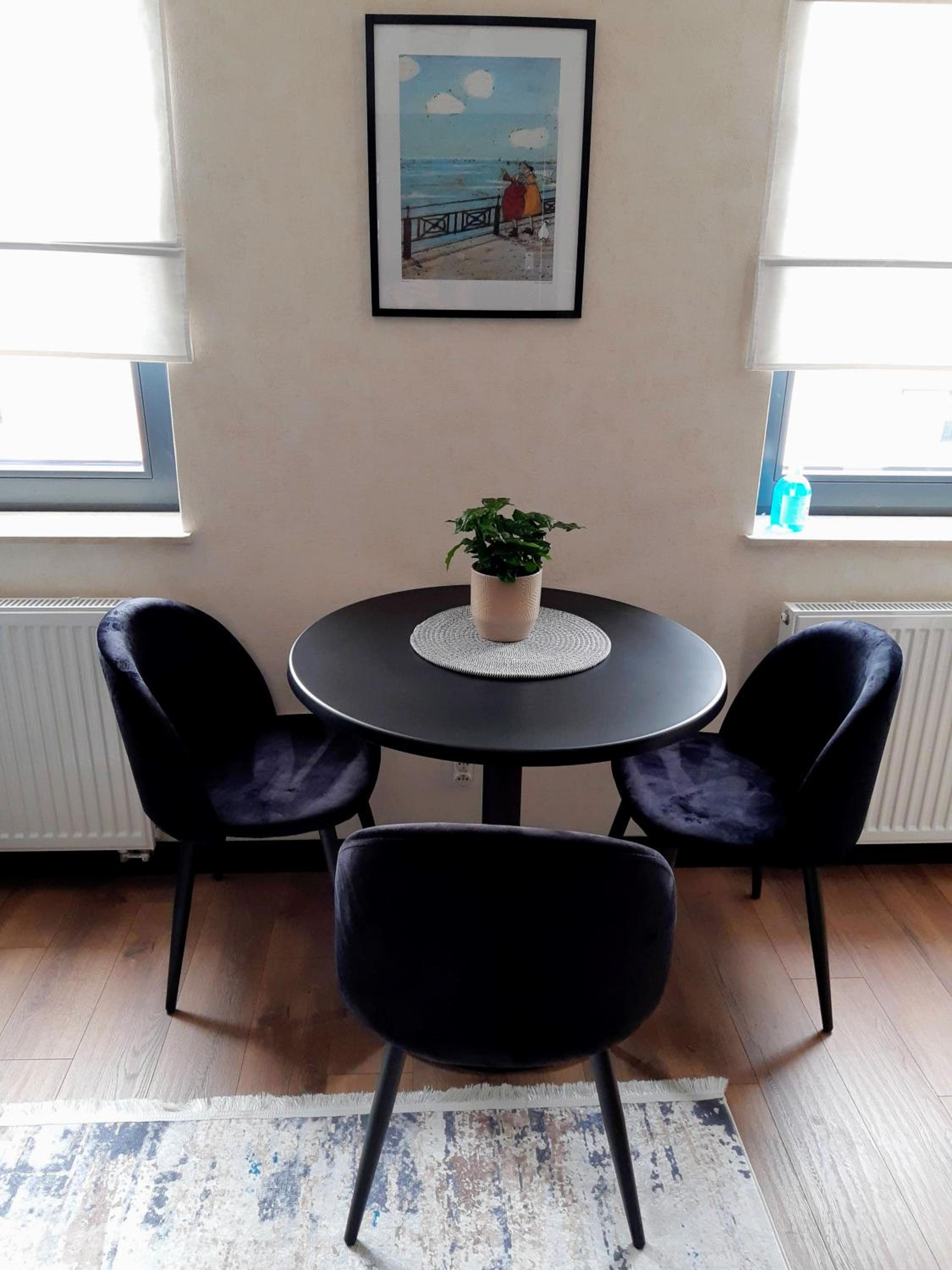 One-Bedroom Apartment - Photo 4