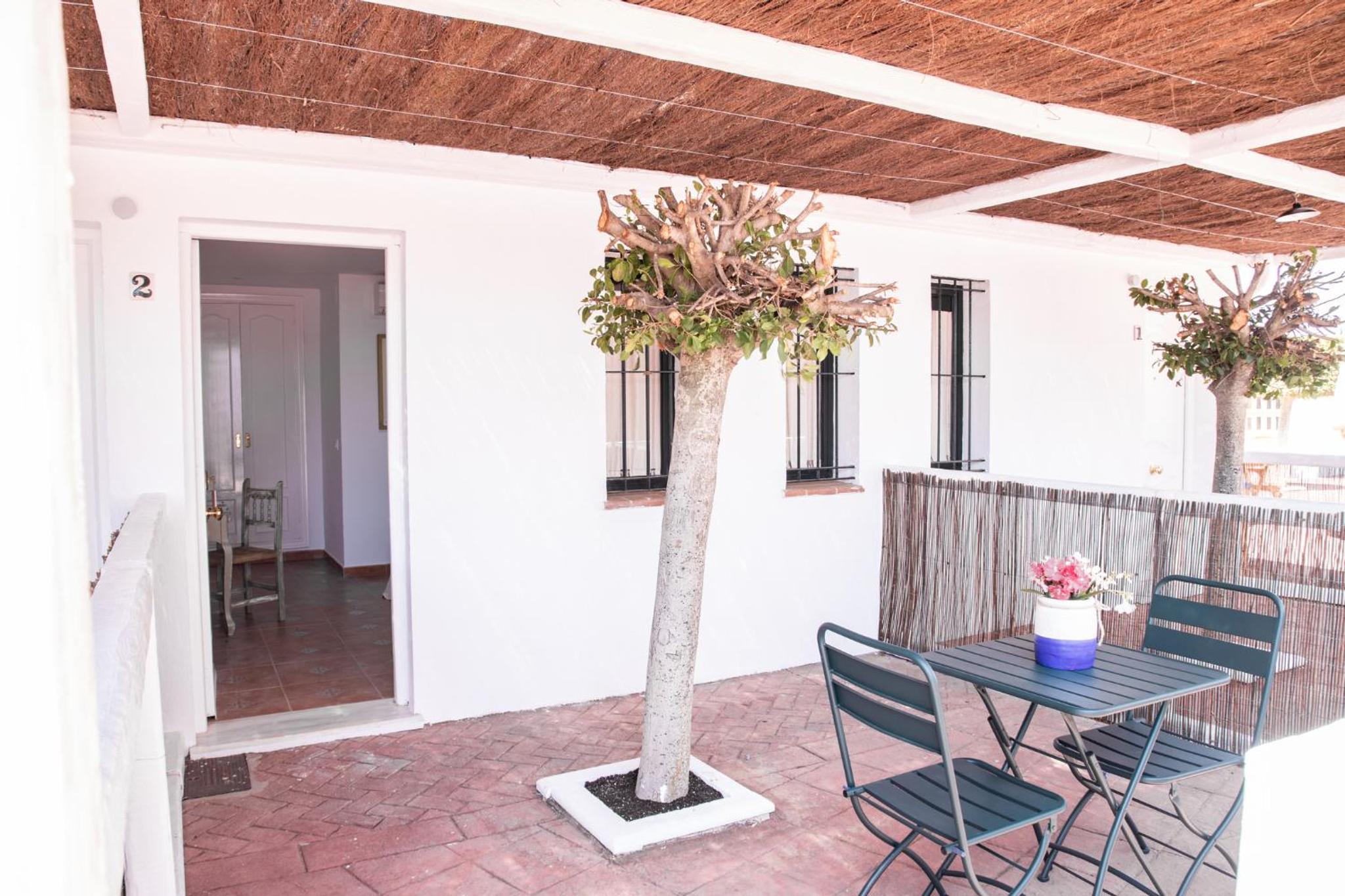 Twin Room with Terrace photo 3
