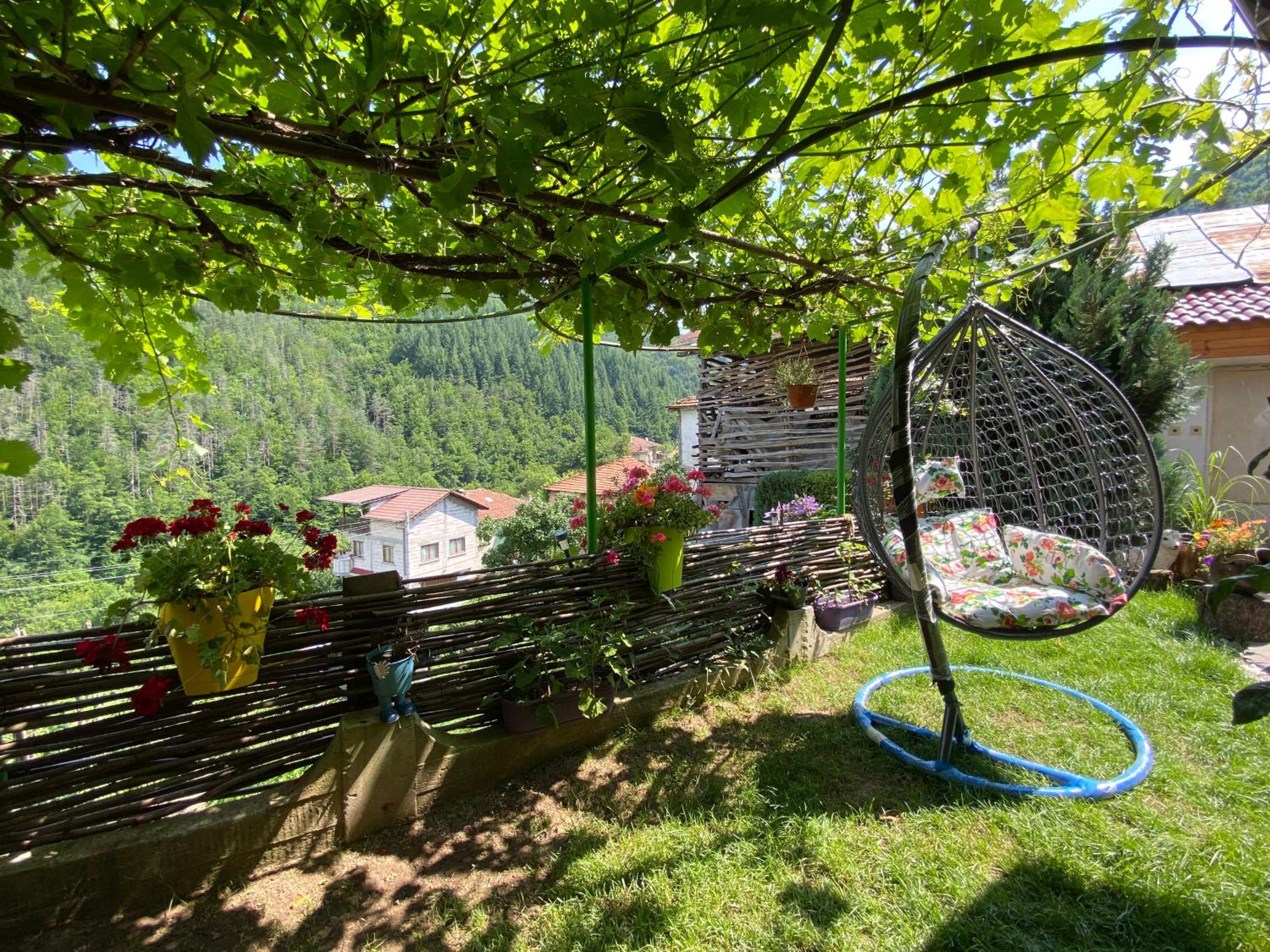 Villa photo 3