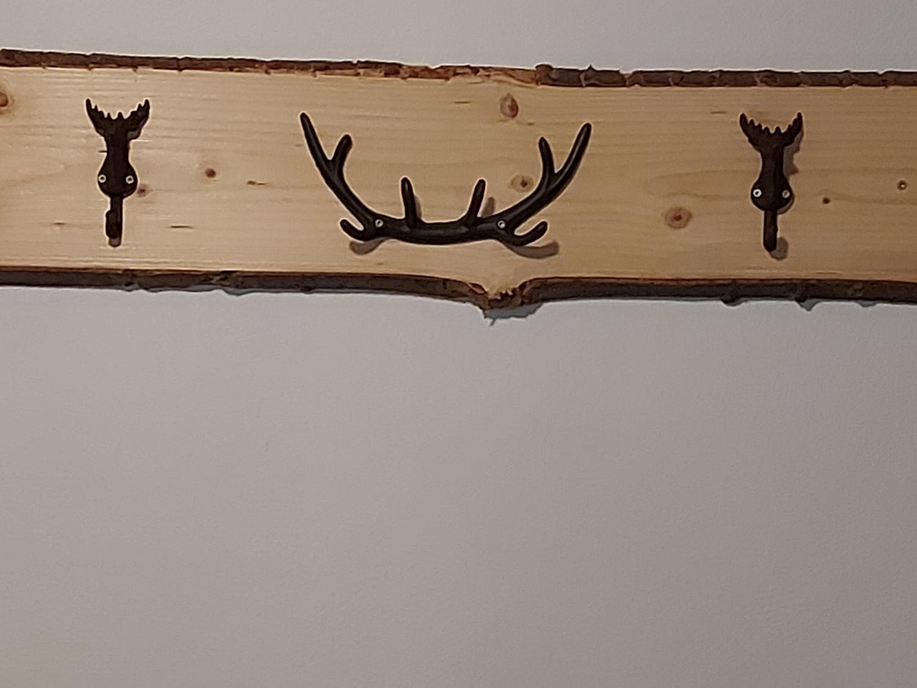 Deluxe Family Room photo 3