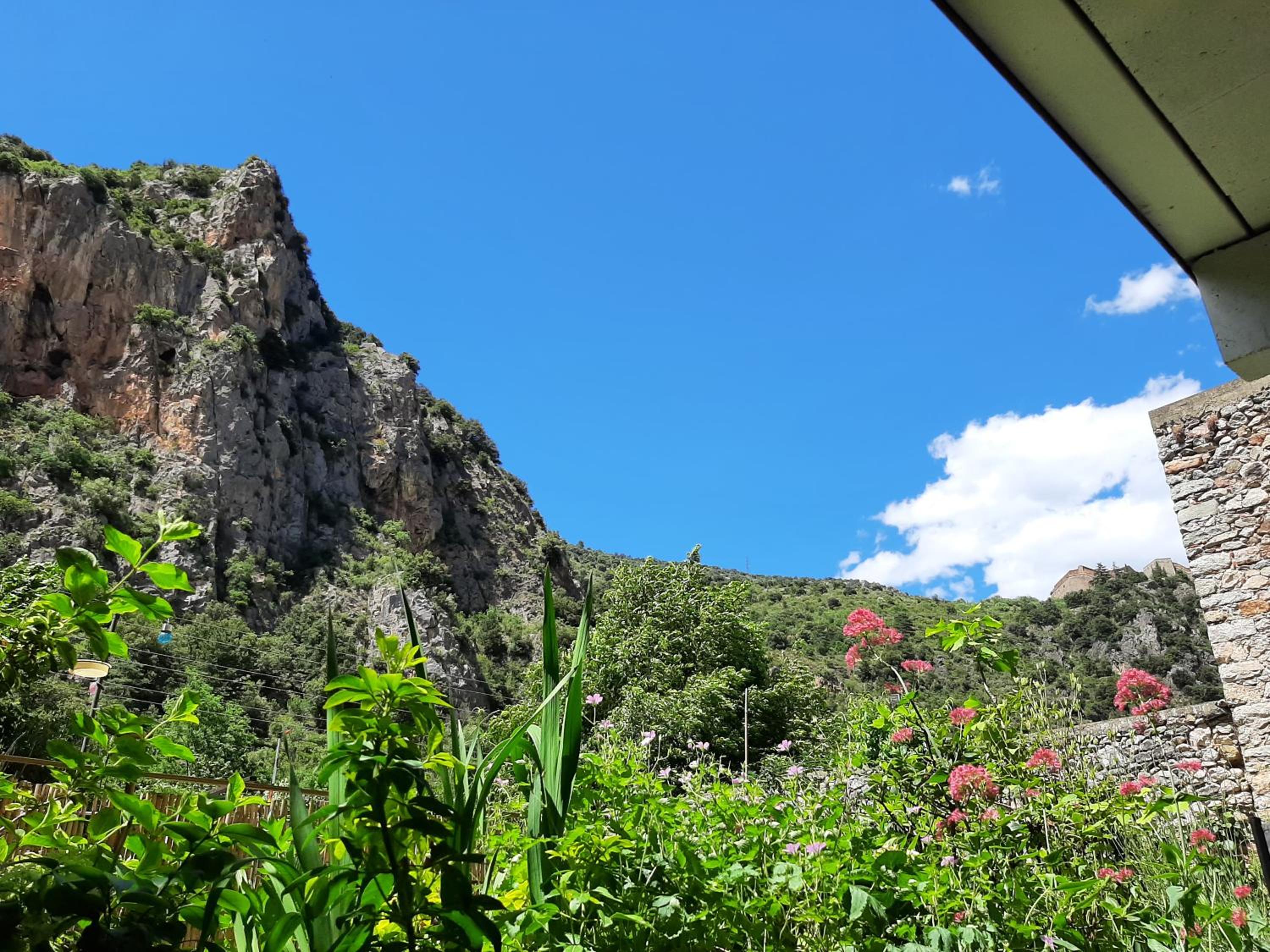 Apartment with Garden View - Photo 15