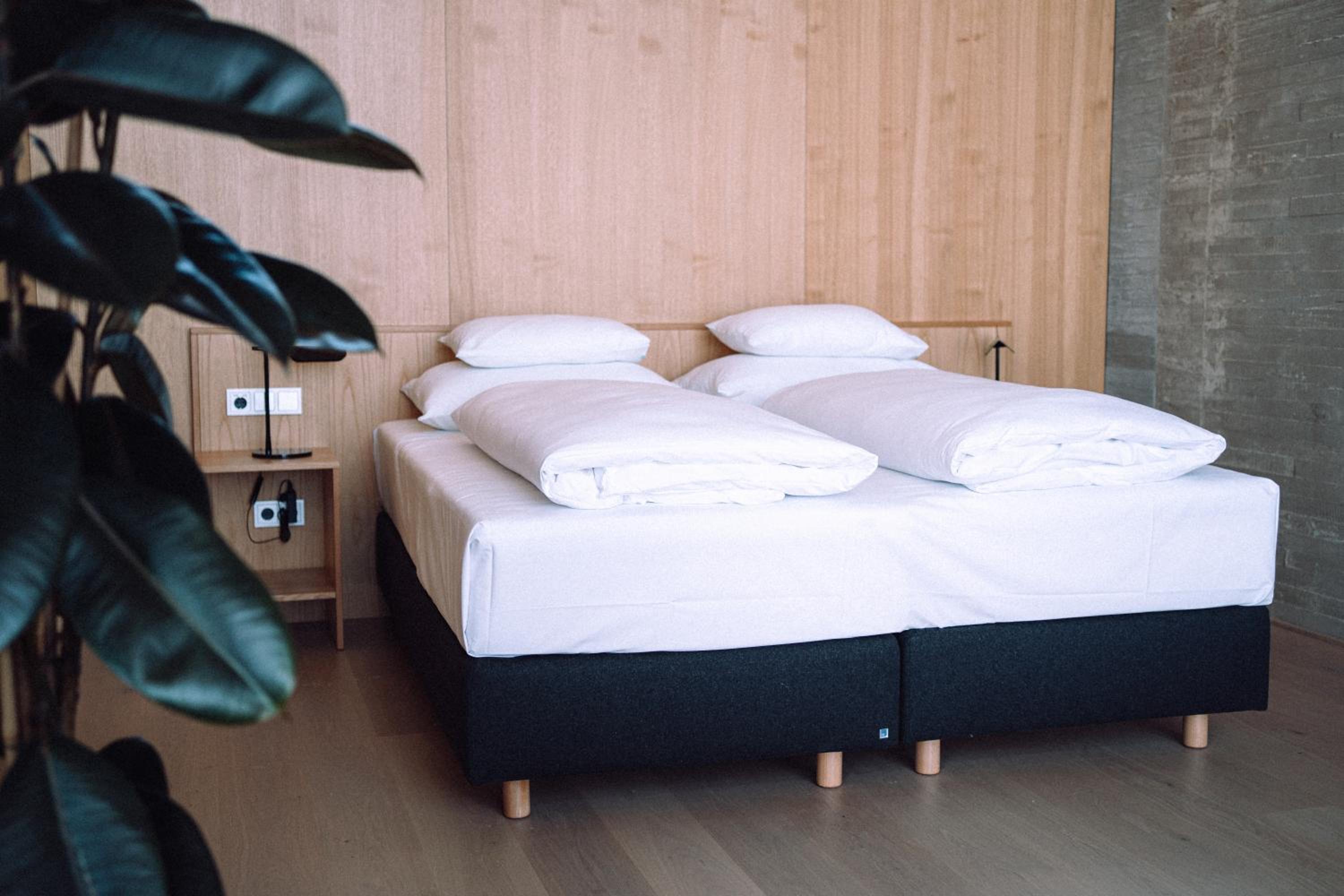 Suite - Photo 5