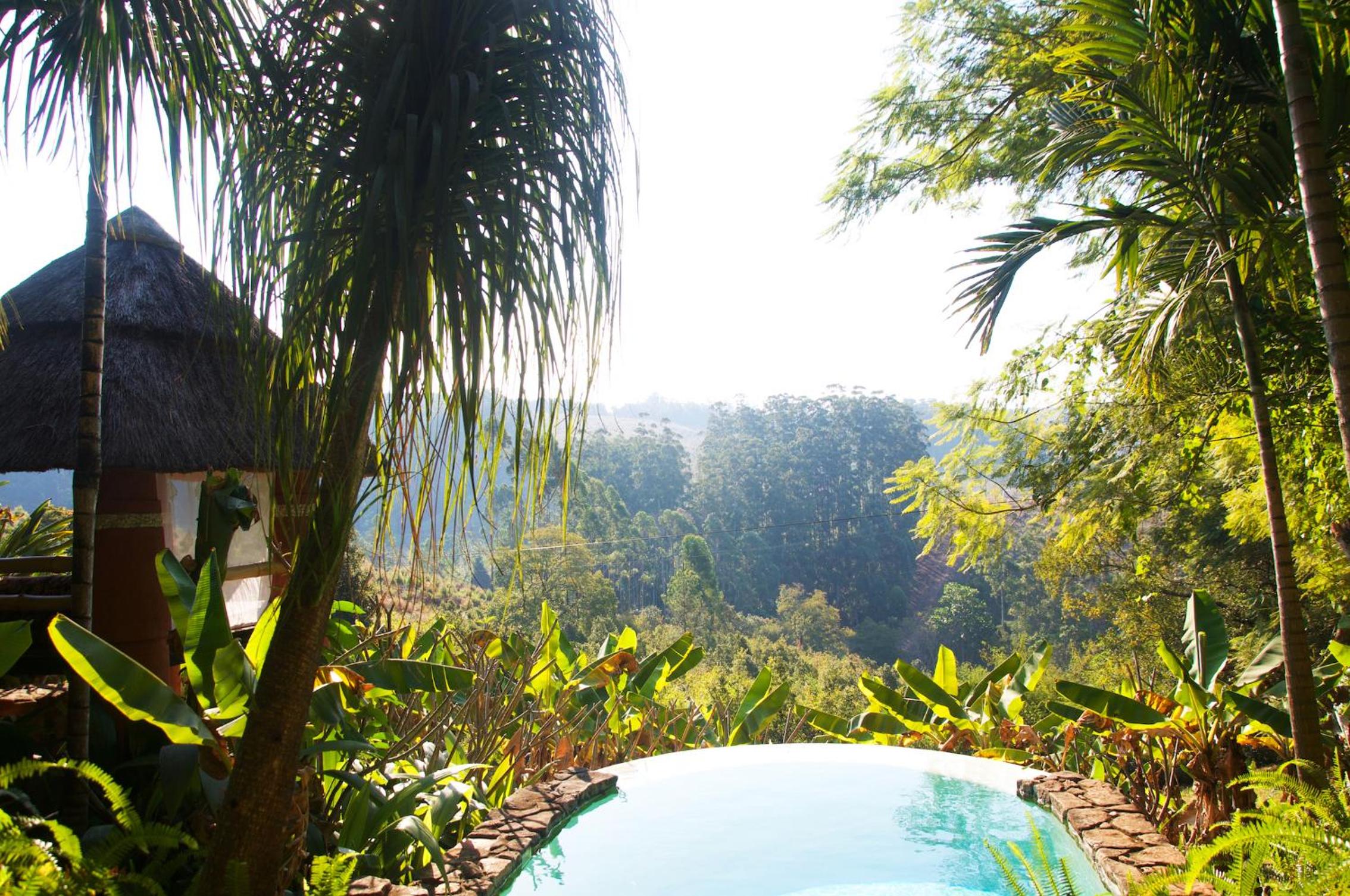 Comfort Suite with Forest view photo 2