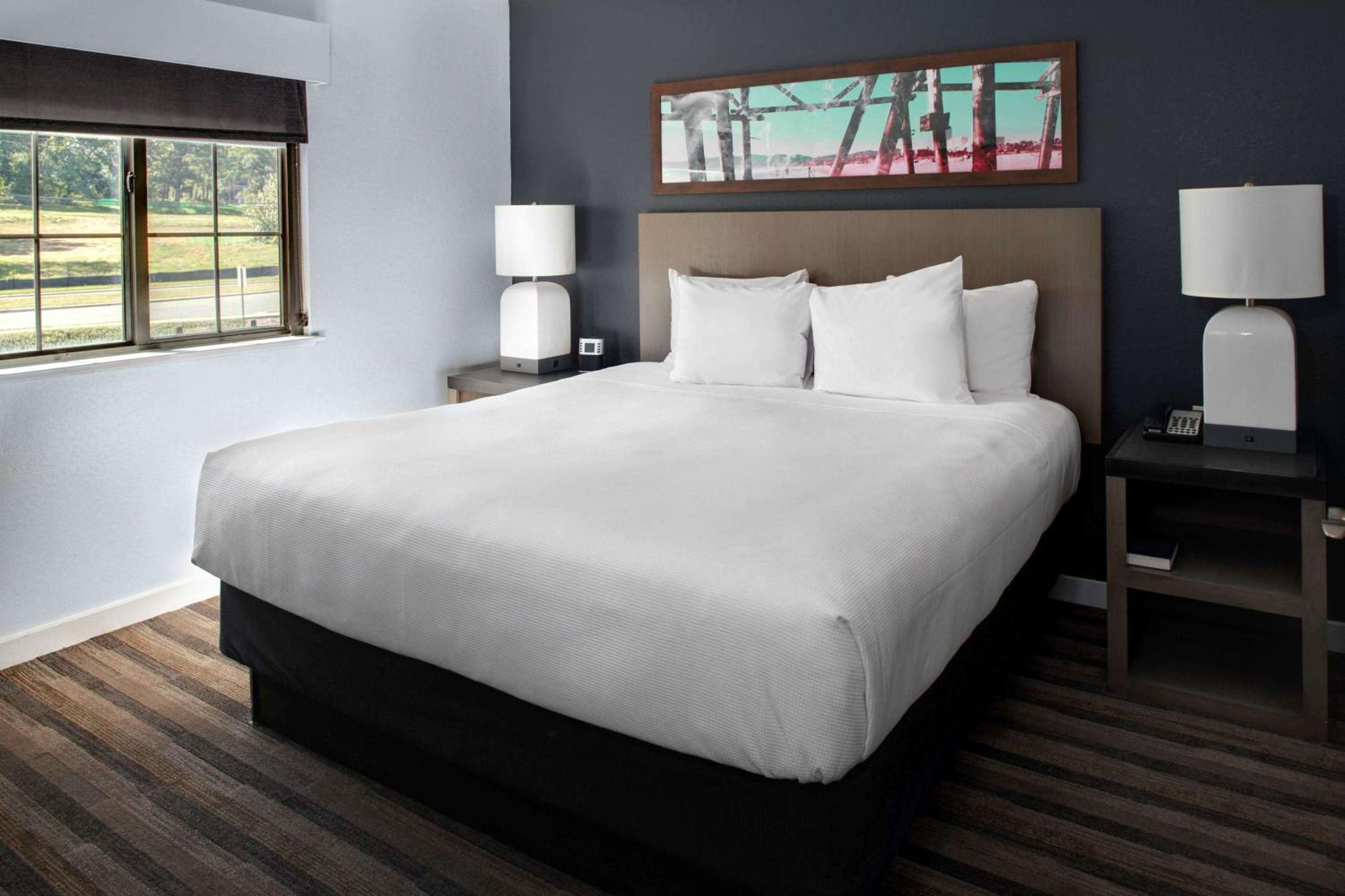 One-Bedroom King Suite - Photo 1