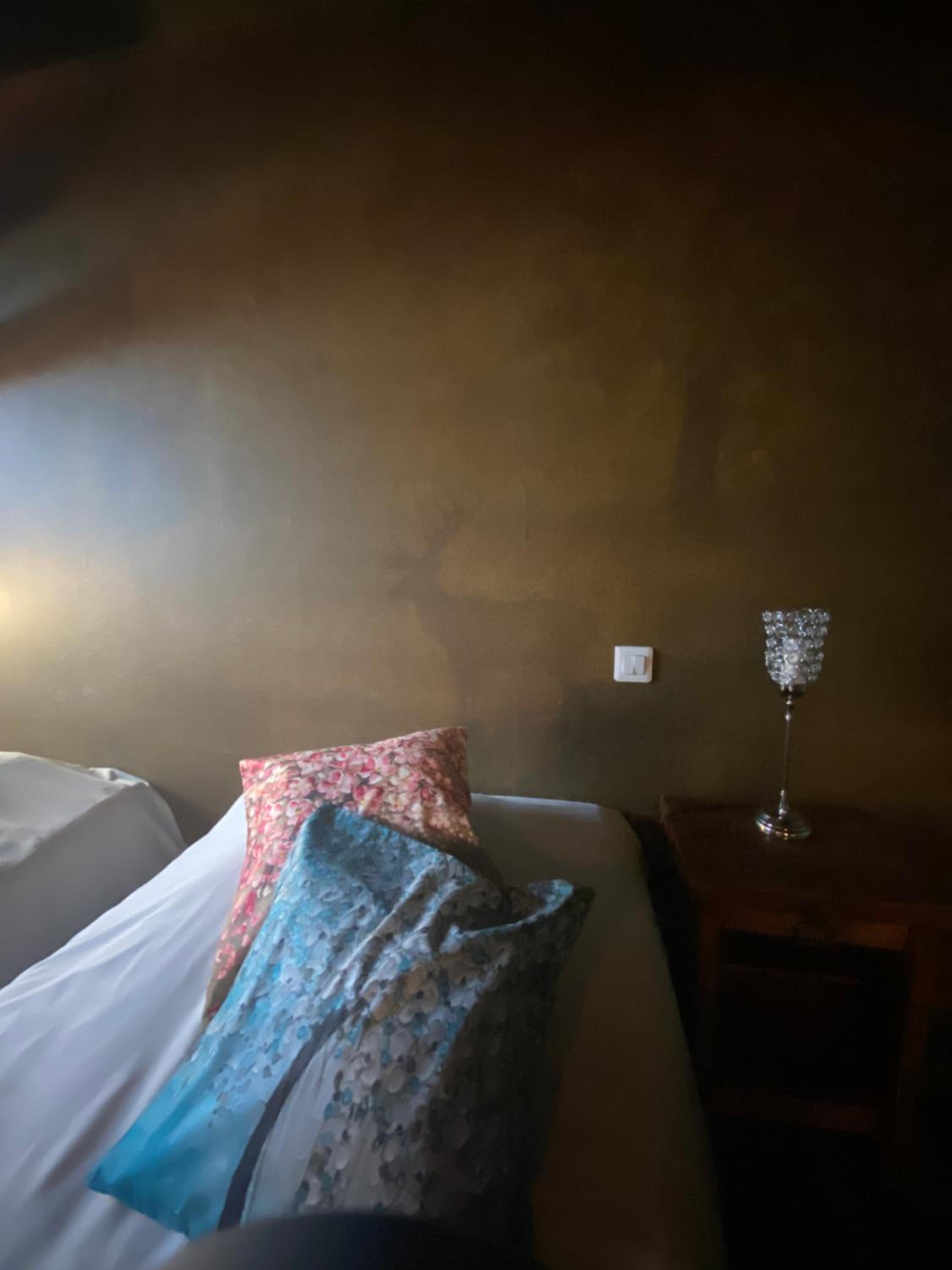 Twin Room photo 1