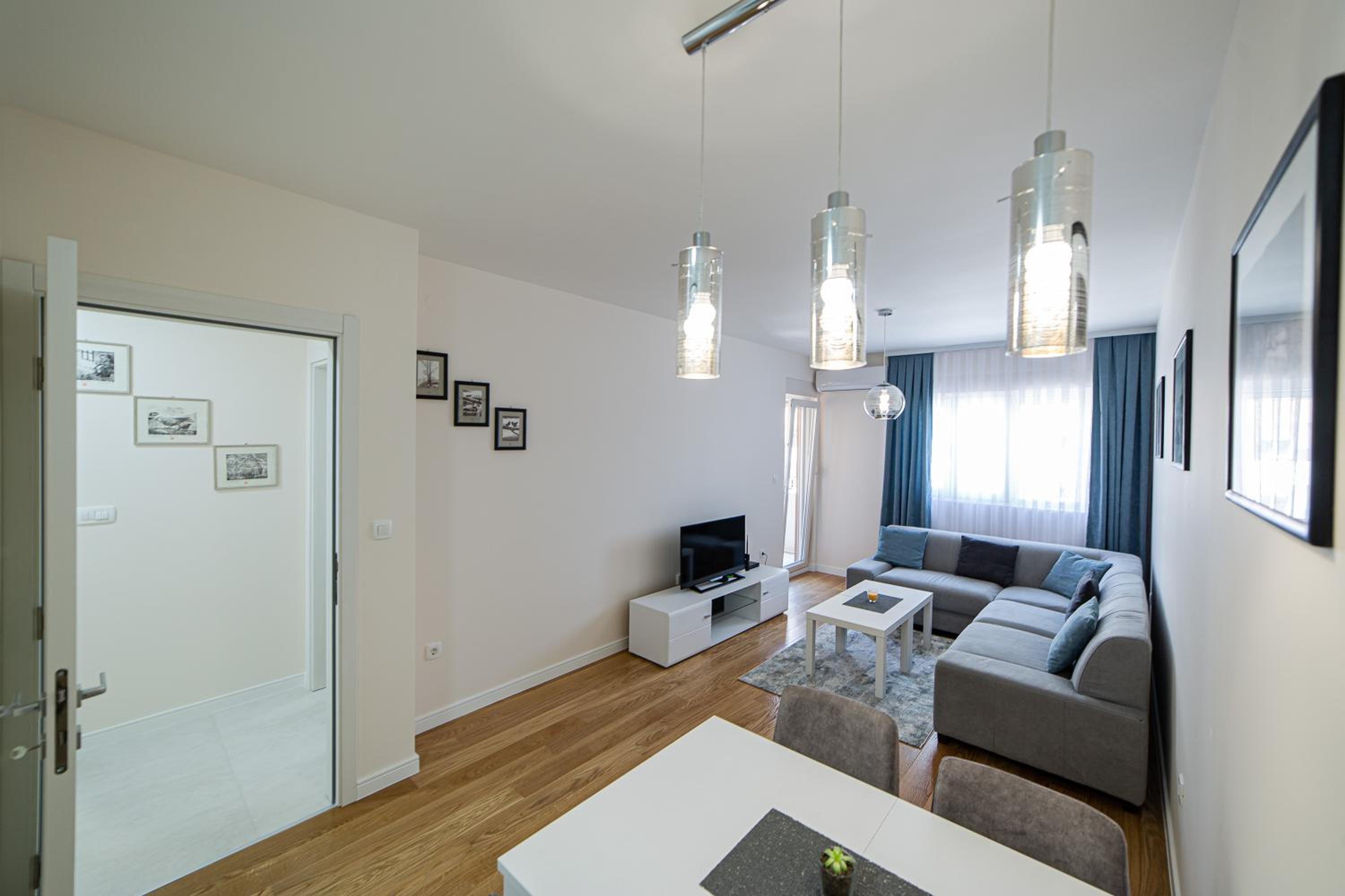 Deluxe One-Bedroom Apartment
