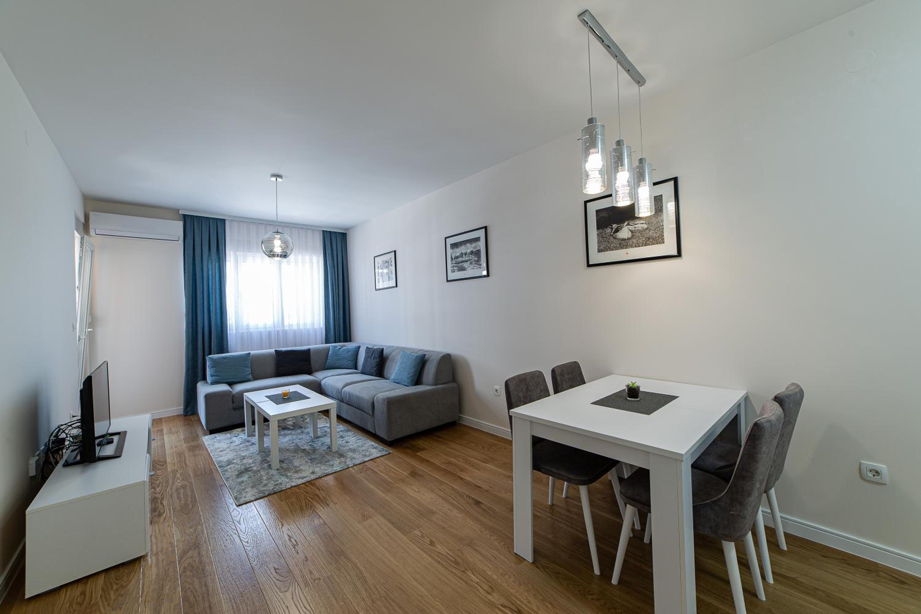 Deluxe One-Bedroom Apartment