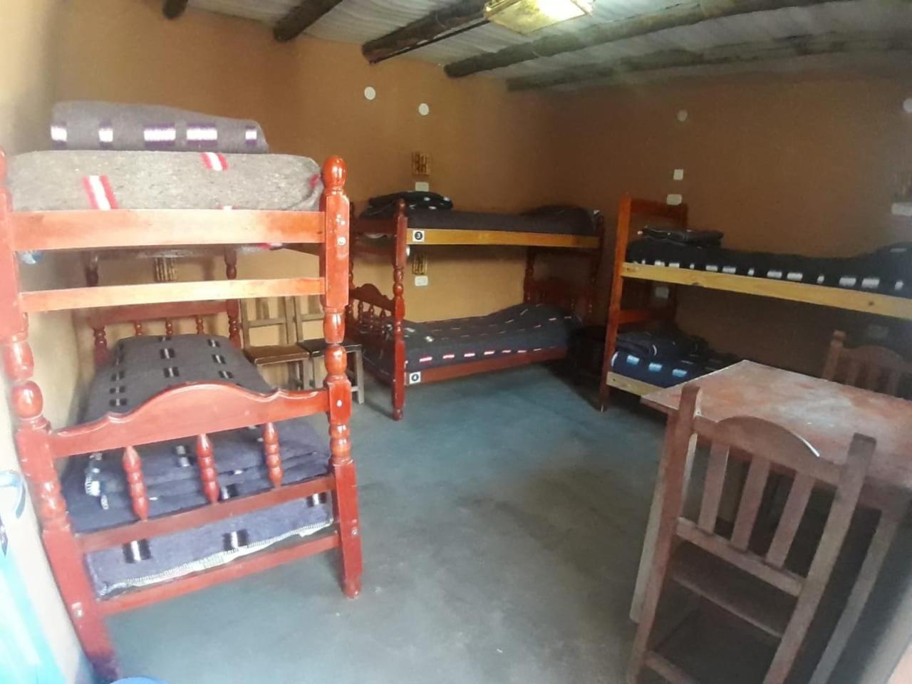 Bed in 6-Bed Mixed Dormitory Room photo 1