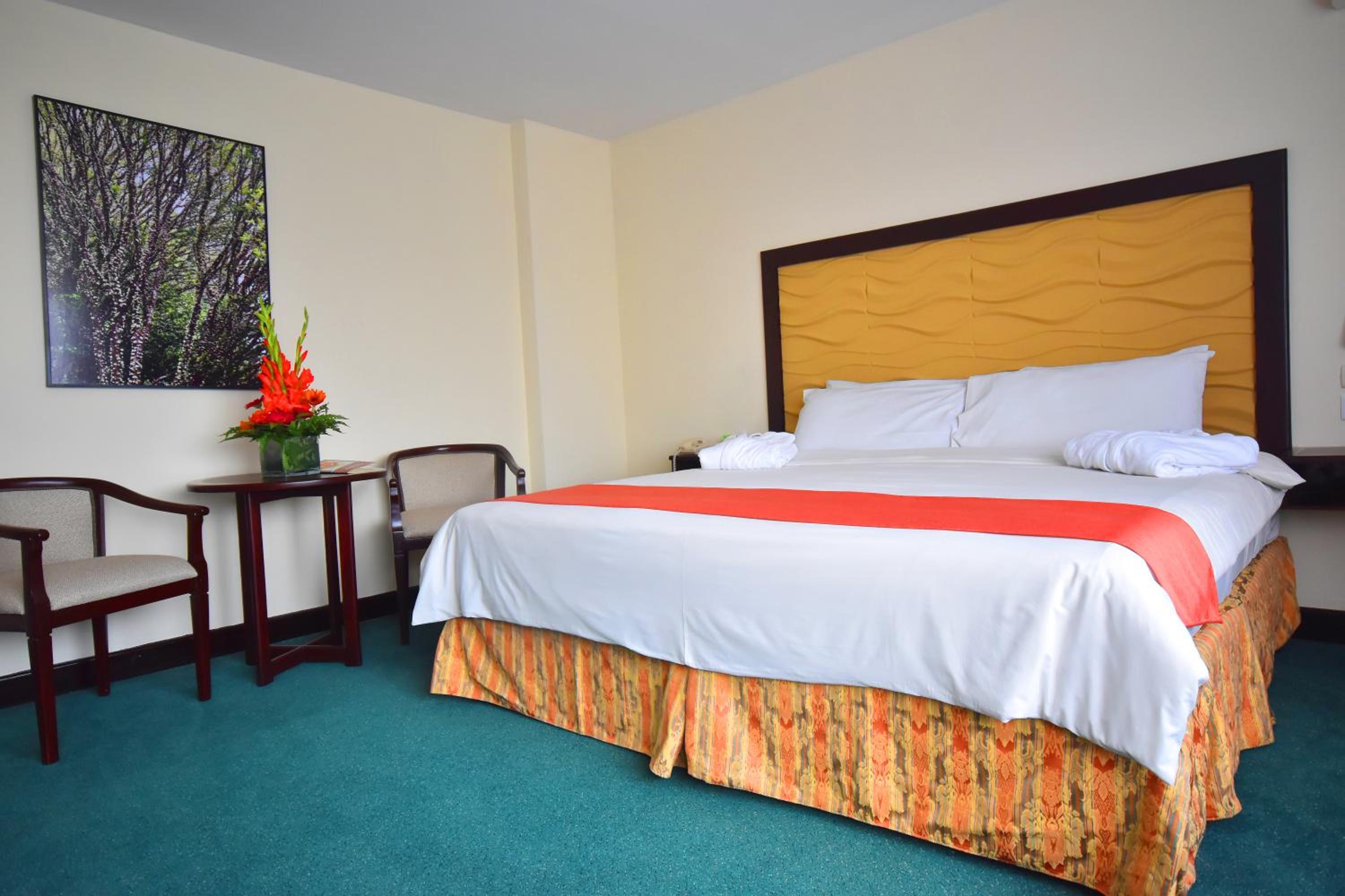 King Suite - Photo 9