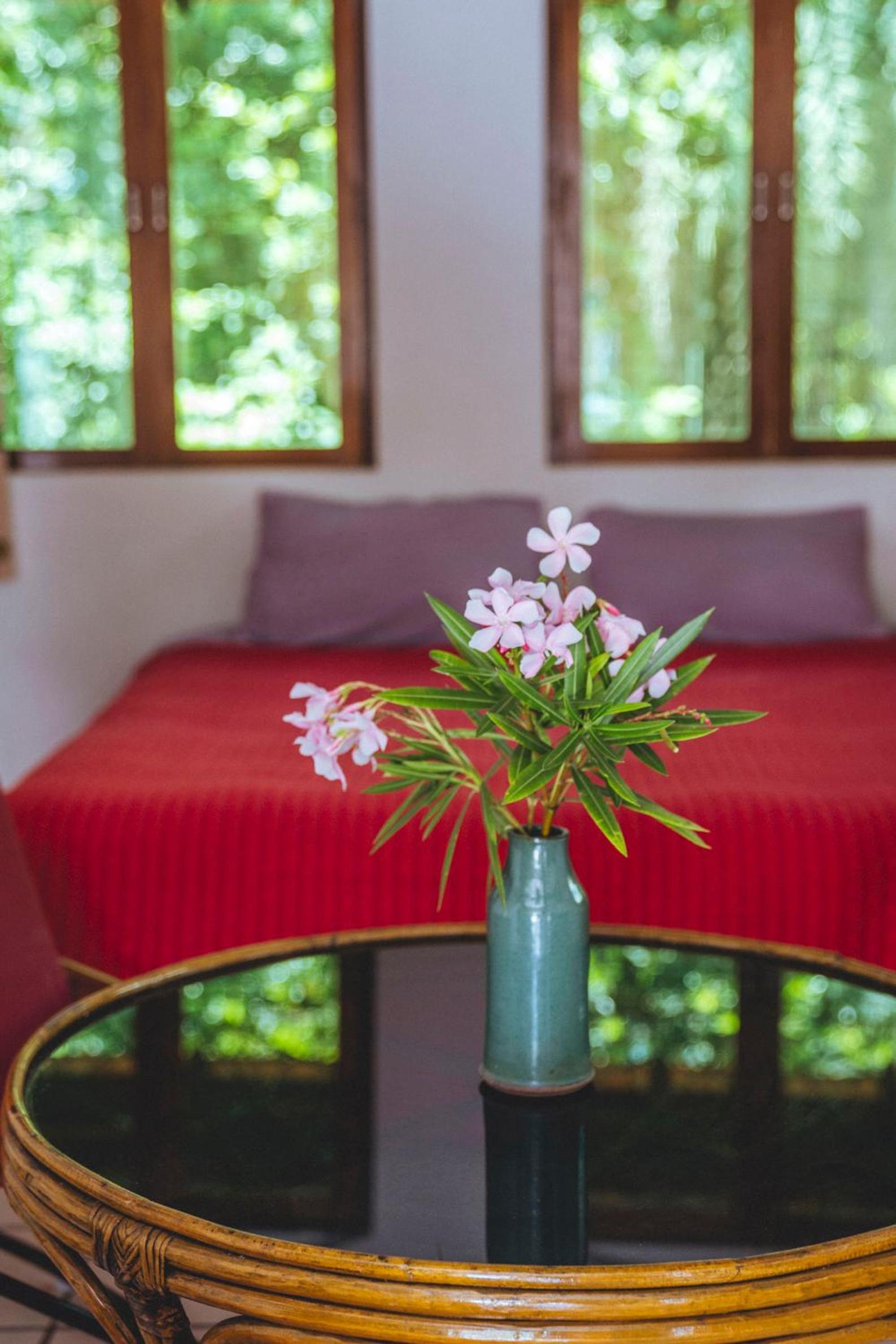 Suite with Terrace photo 2
