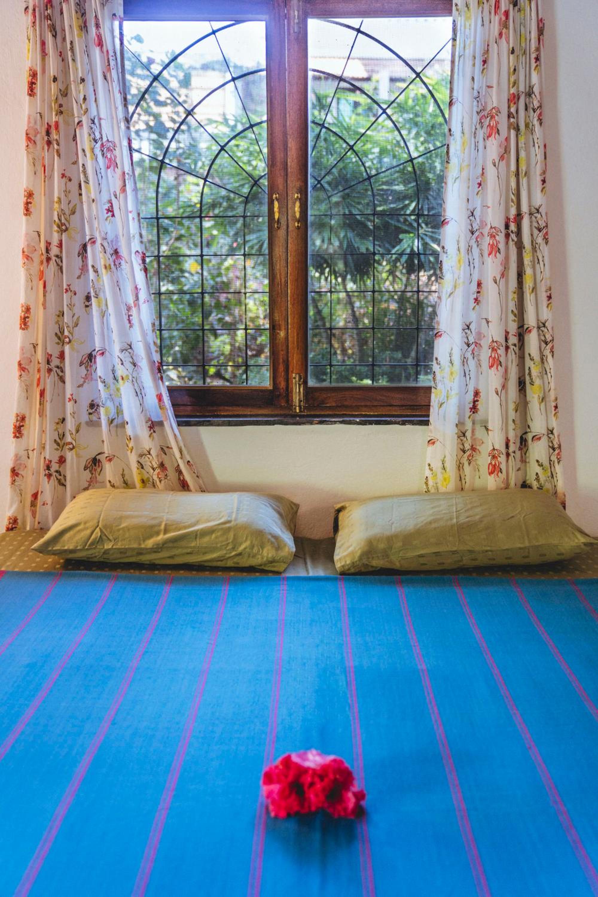 Studio with Terrace photo 1