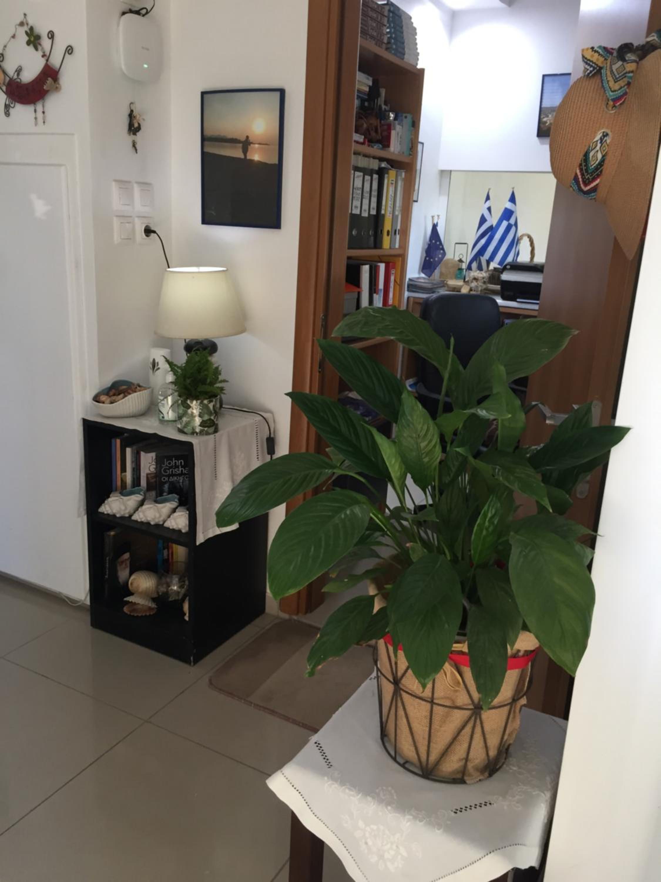 Apartment with Sea View - Photo 34