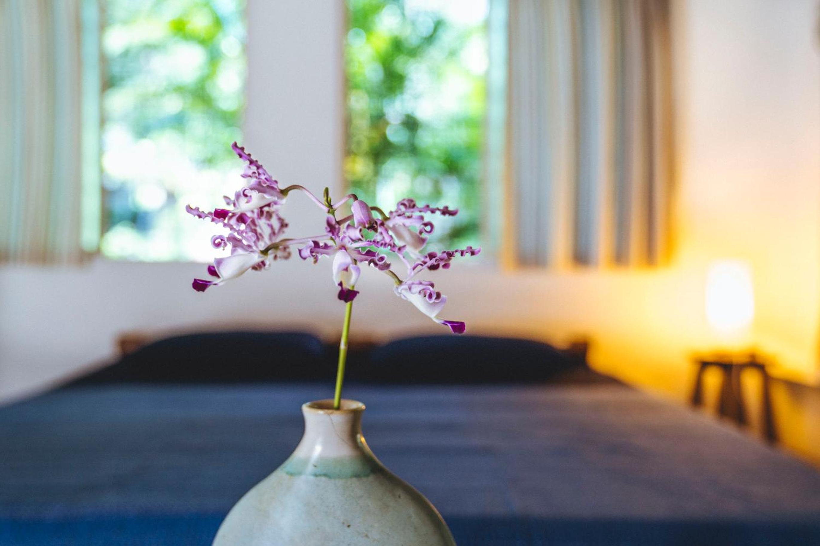 Deluxe Double or Twin Room with Garden View