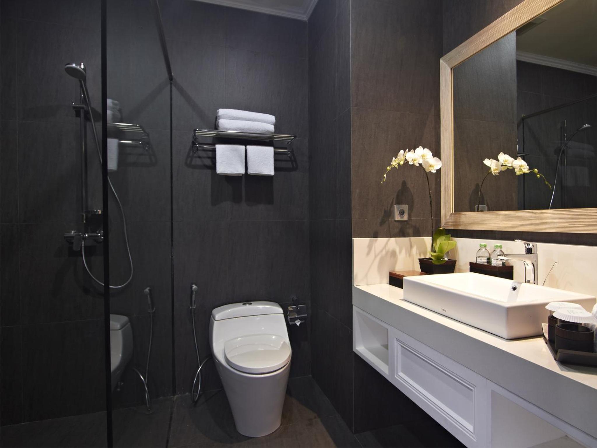 Deluxe Double or Twin Room - Photo 5