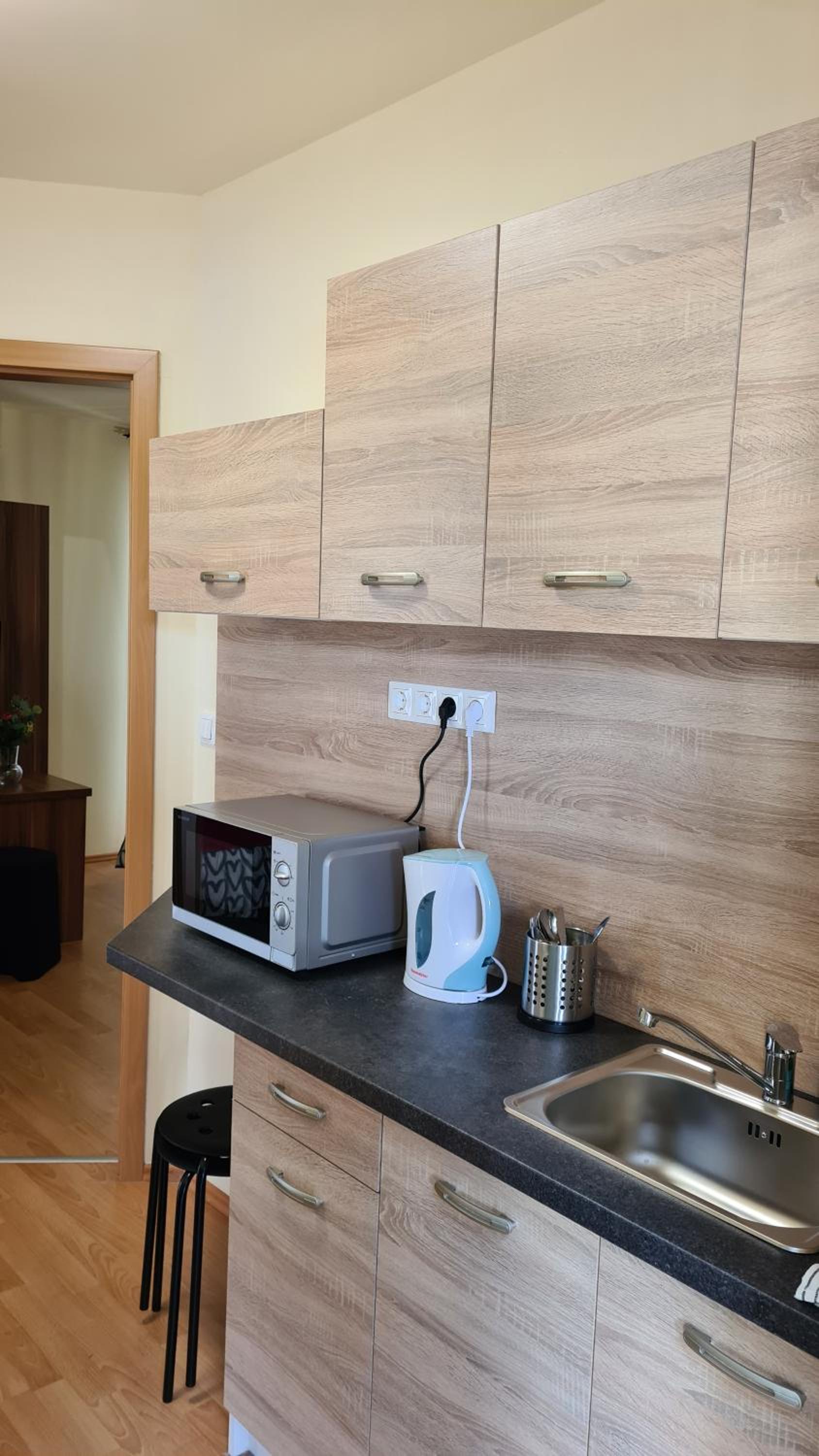 One-Bedroom Apartment with Shared Kitchen photo 2