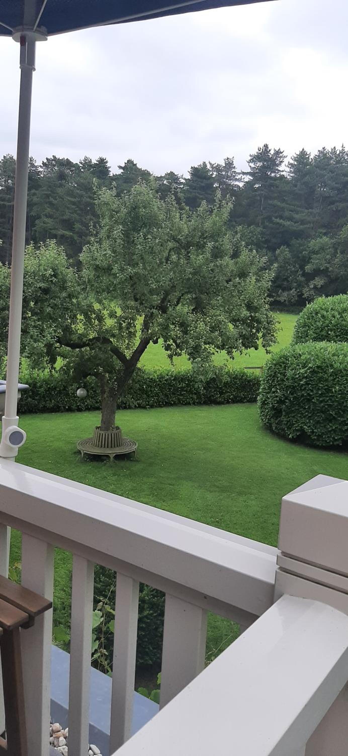 Double Room with Balcony photo 2