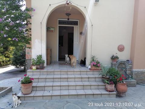 Three-Bedroom House photo 3