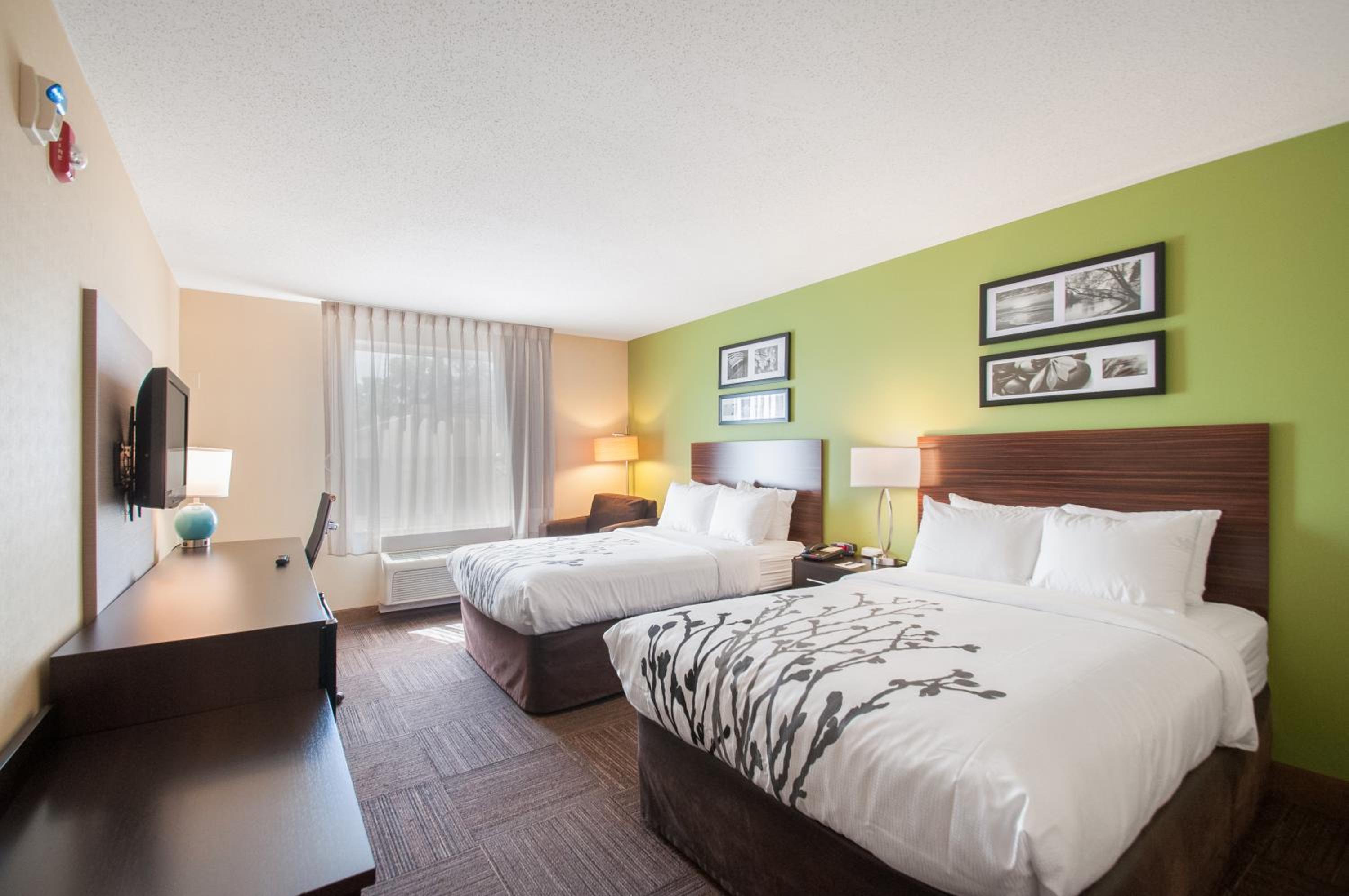 Double Room with Two Double Beds - Accessible/Non-Smoking - Photo 2