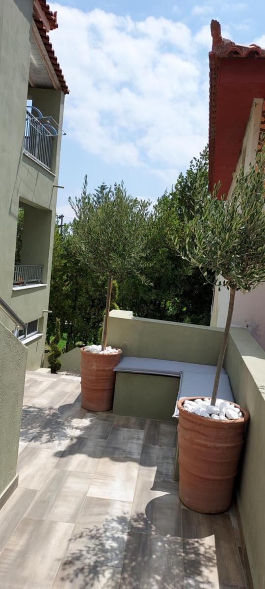 Standard Apartment photo 3
