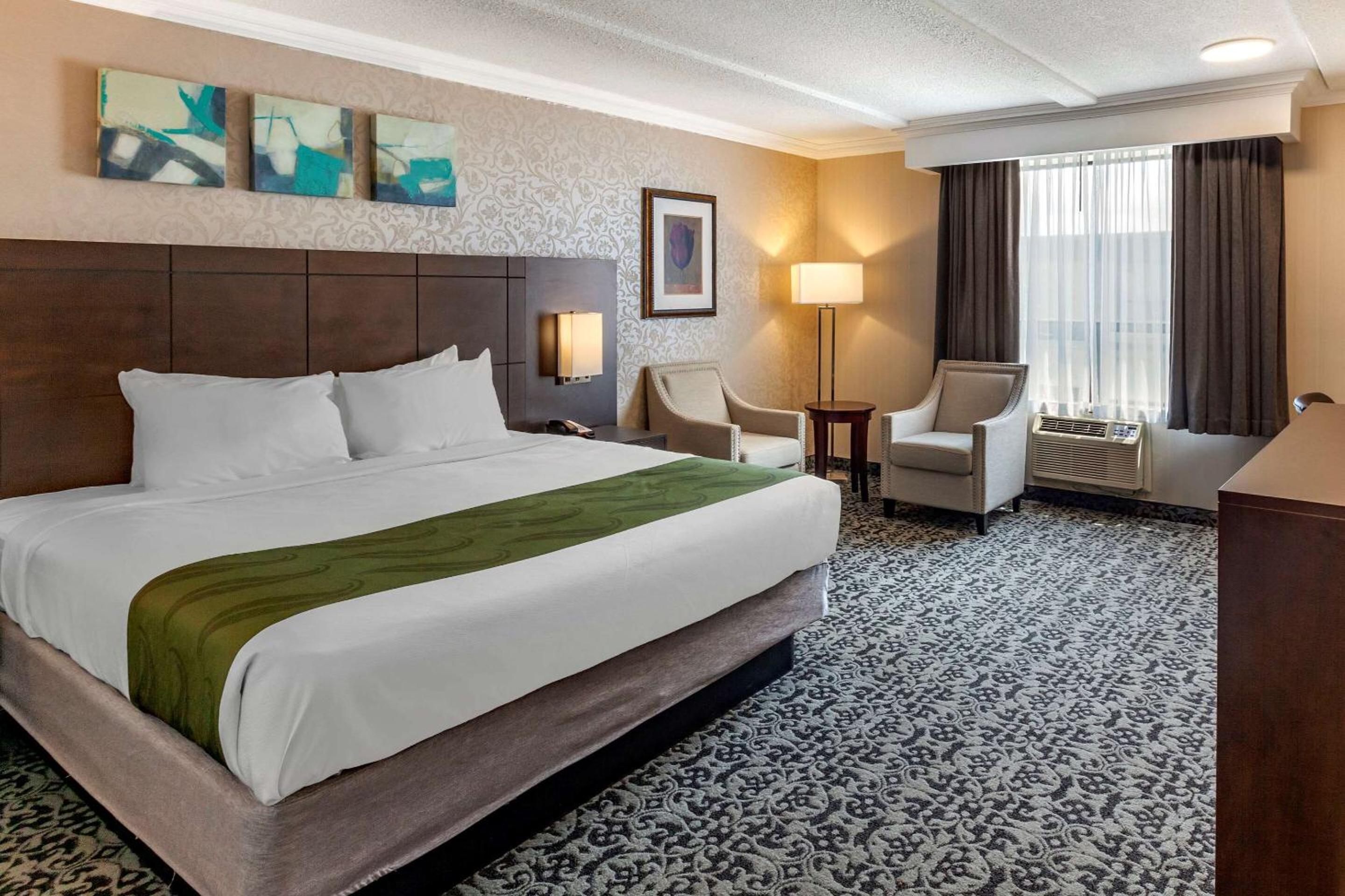 King Room -Non-Smoking  - Photo 4