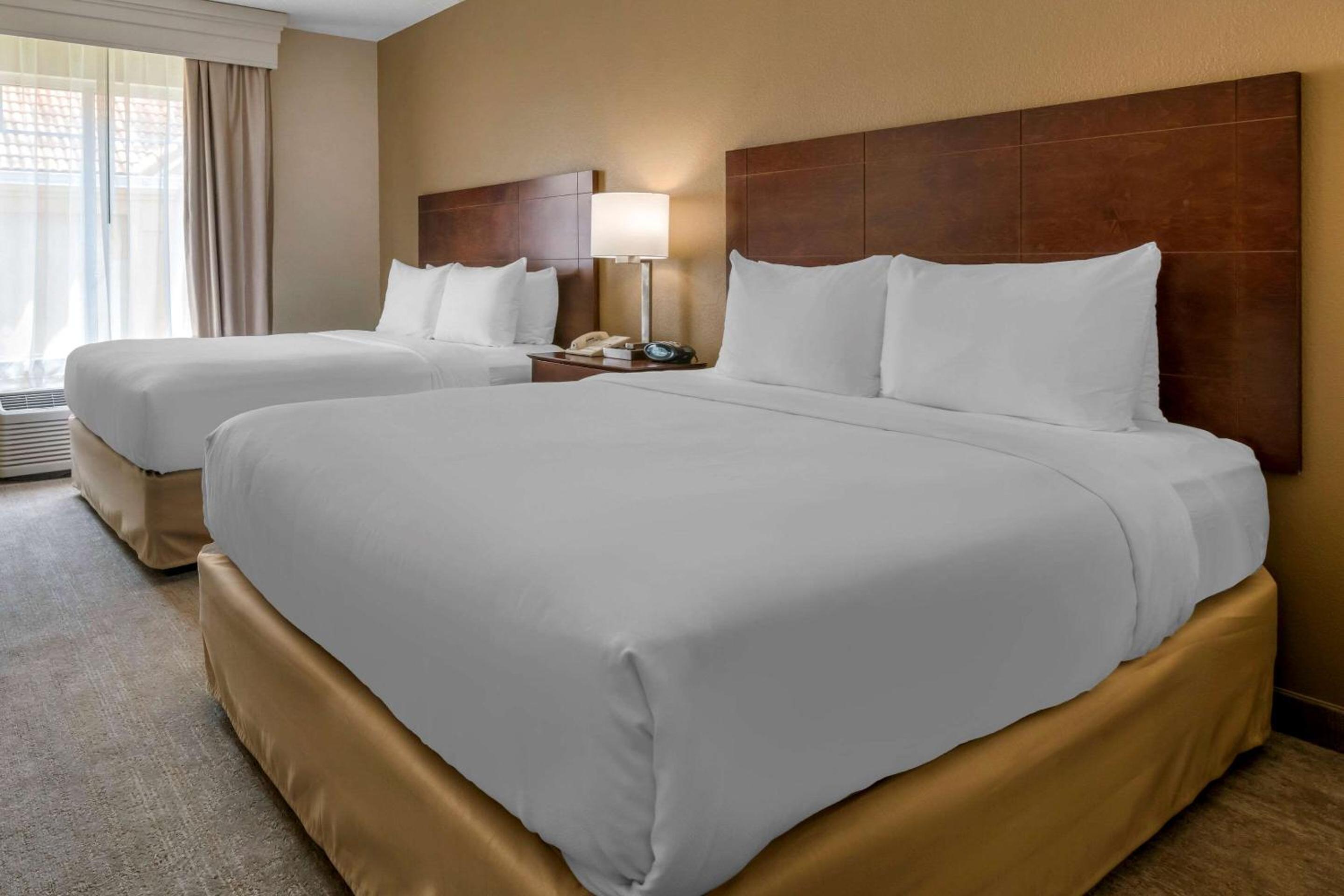 Queen Suite with Two Queen Beds - Non-Smoking photo 3