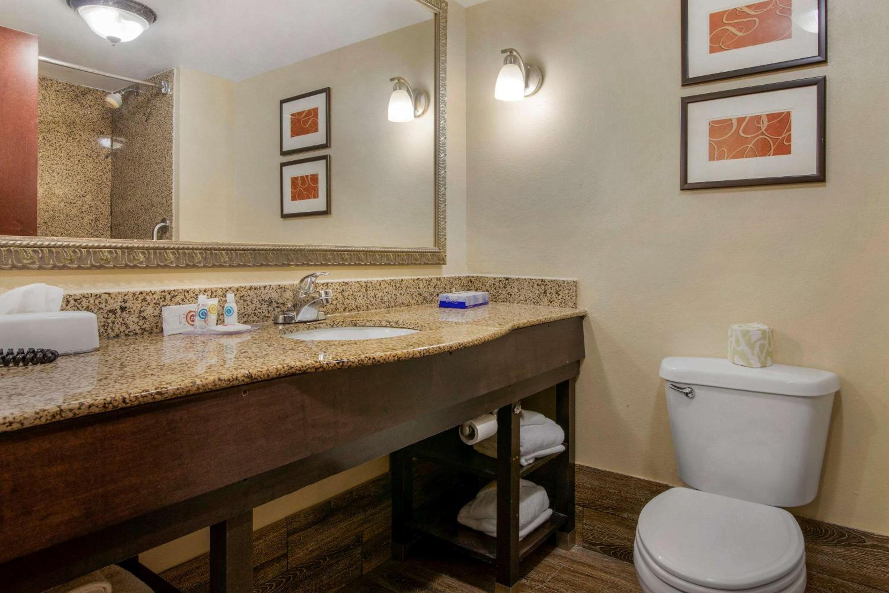 King Suite - Photo 6
