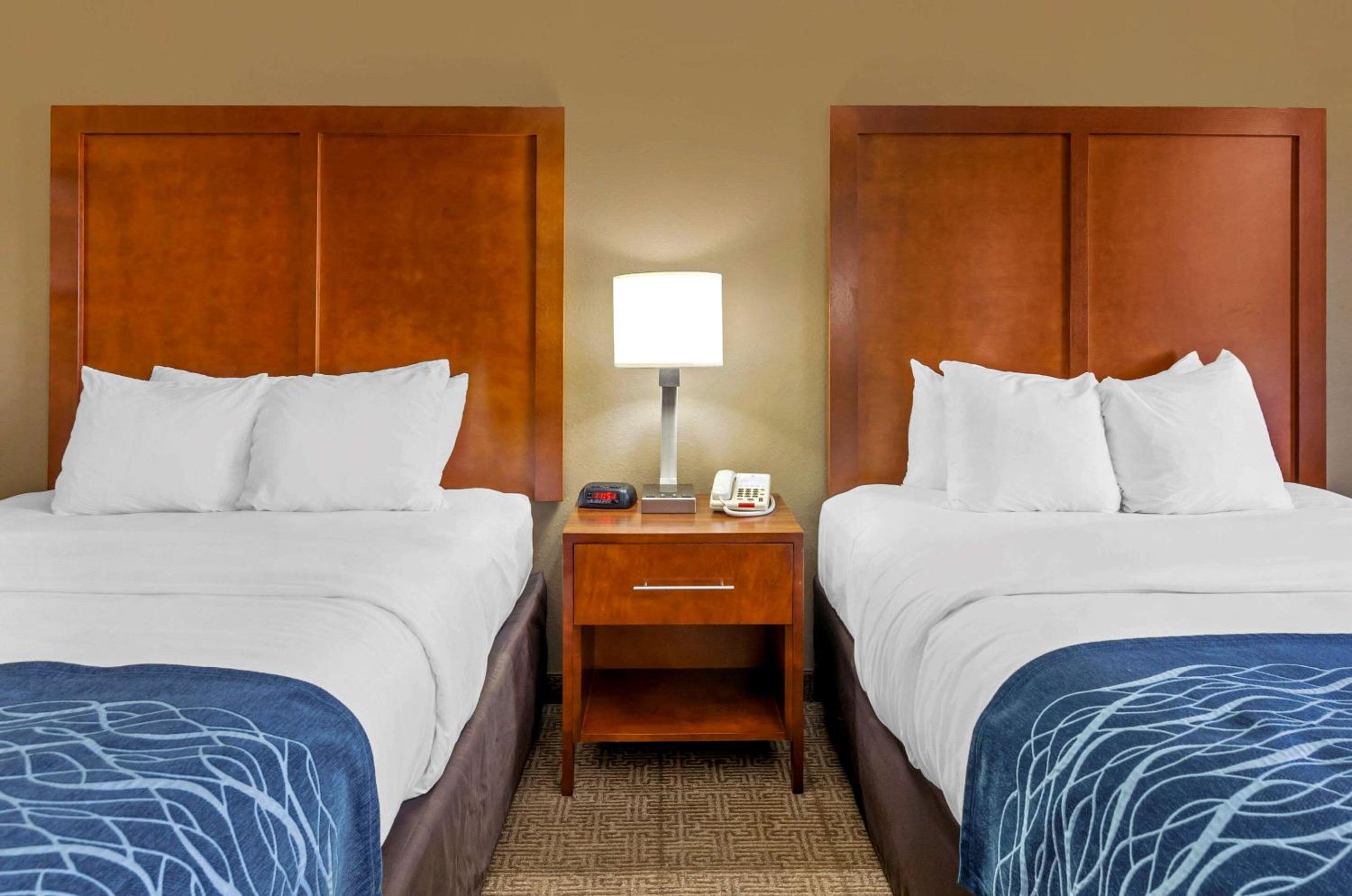 Comfort Inn & Suites Lynchburg Airport - University Area, Fotografia 5