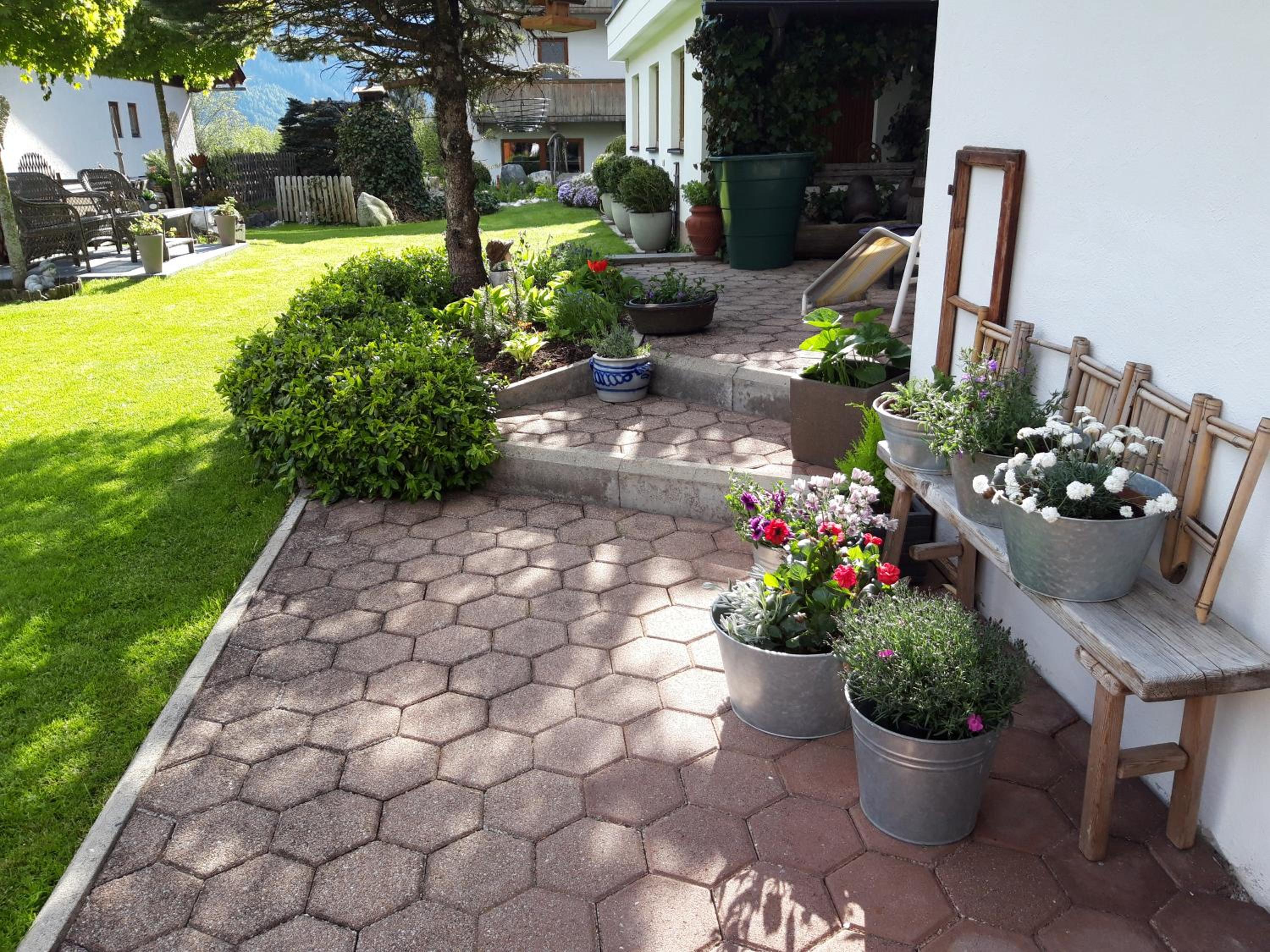 Apartment with Terrace photo 3