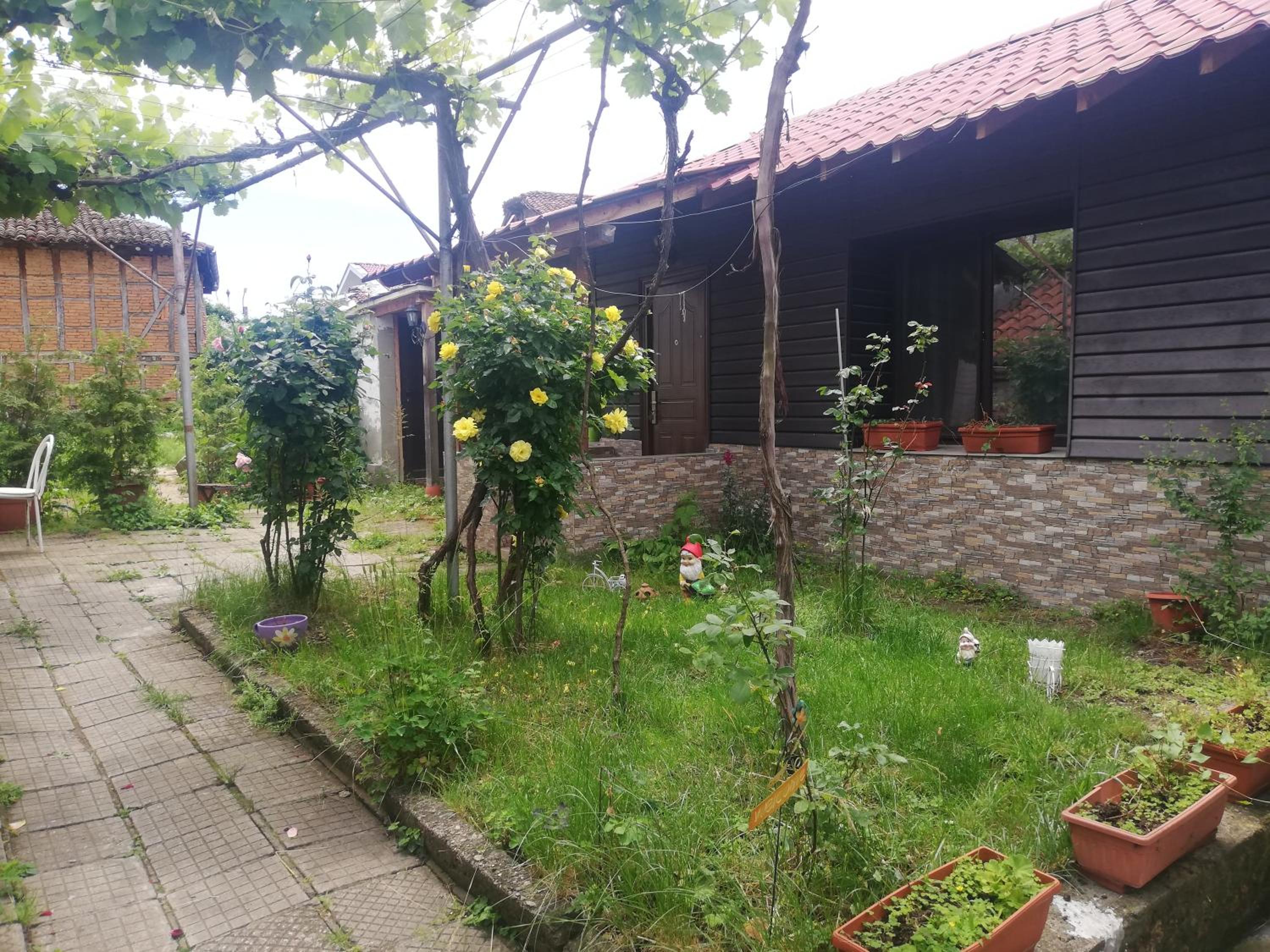 One-Bedroom House photo 1
