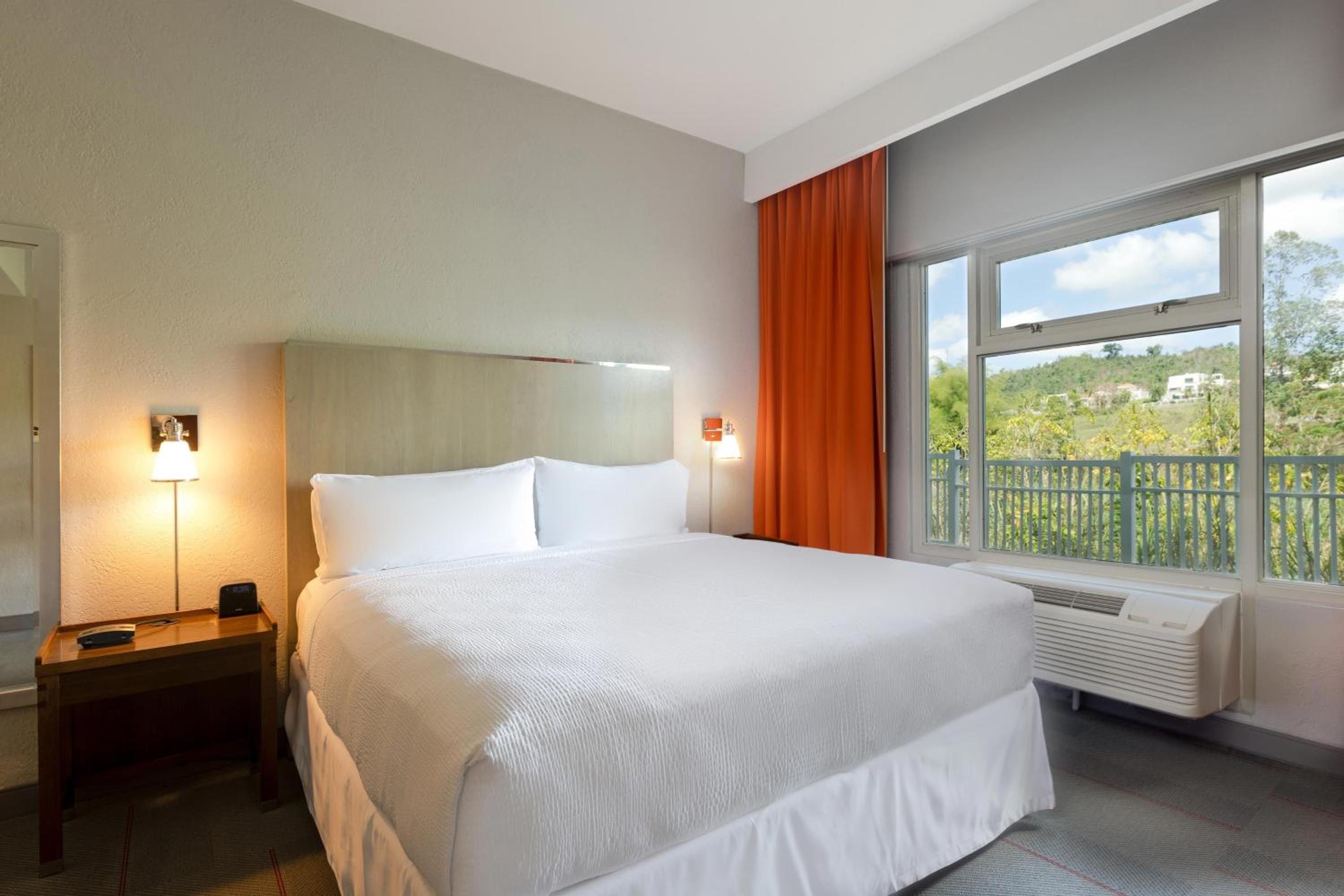 Standard Suite, 1 King, Sofa bed - Photo 3