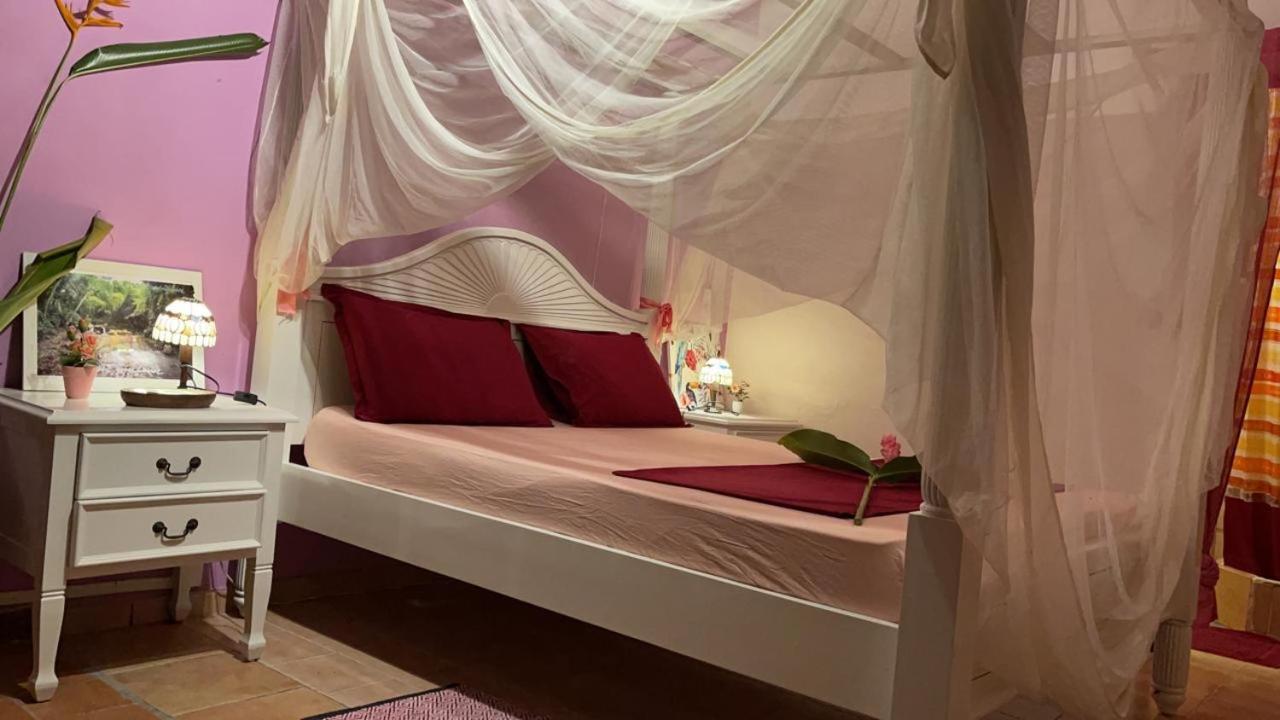 Triple Room with Garden View photo 1