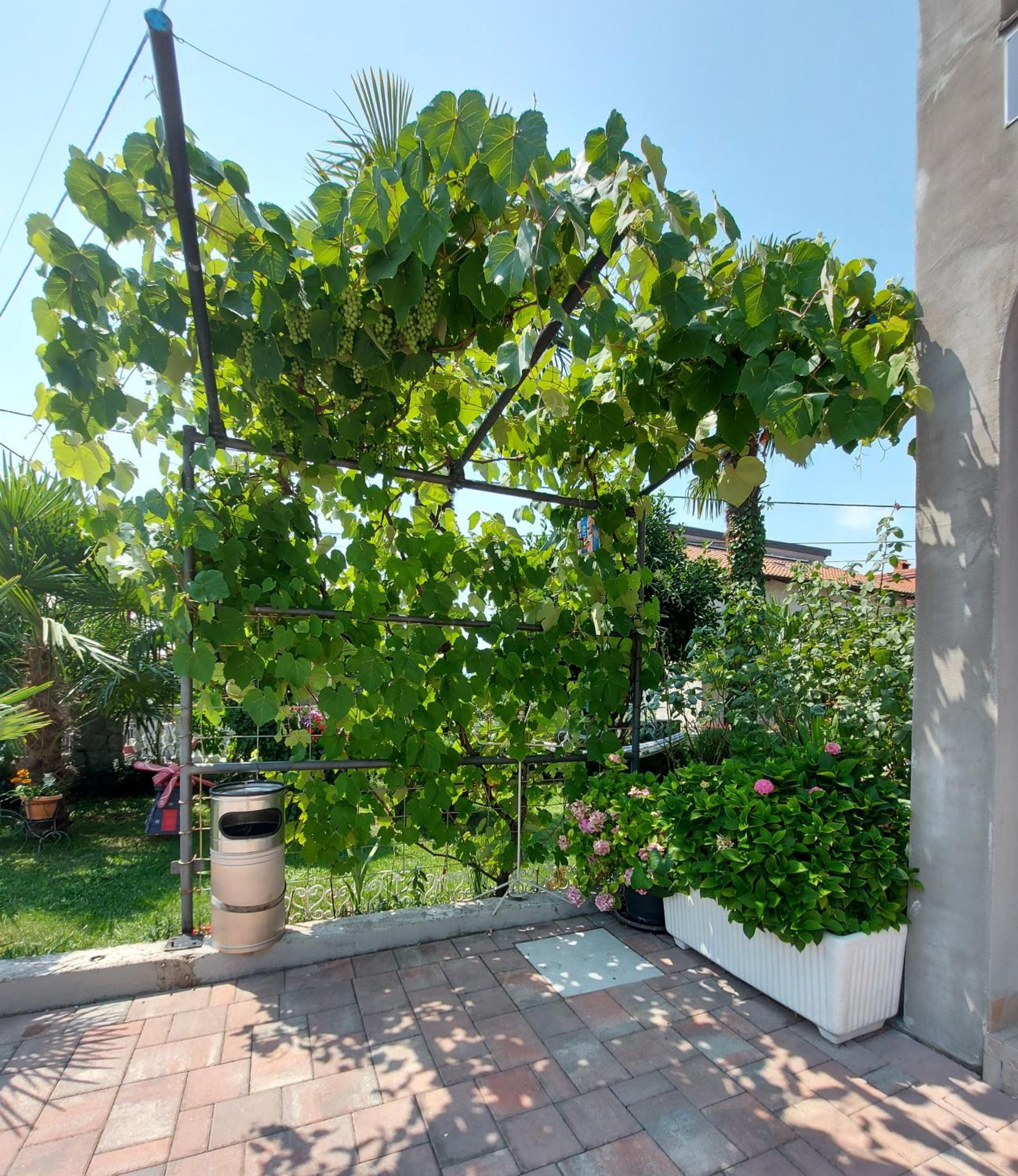Apartment - Ground Floor - Photo 17