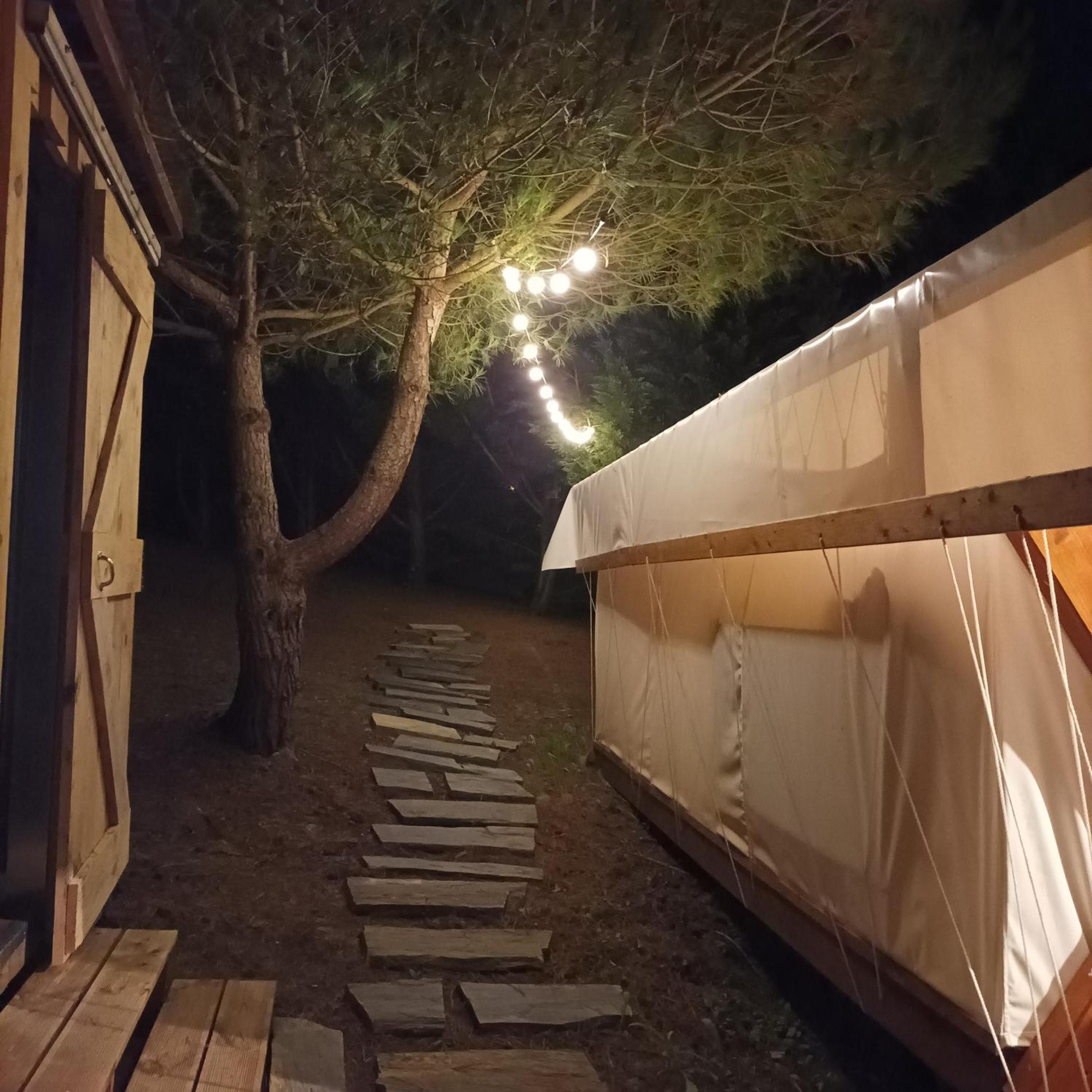 Tent - Photo 12