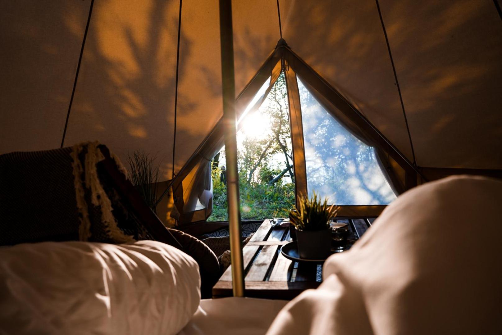 Tent photo 1