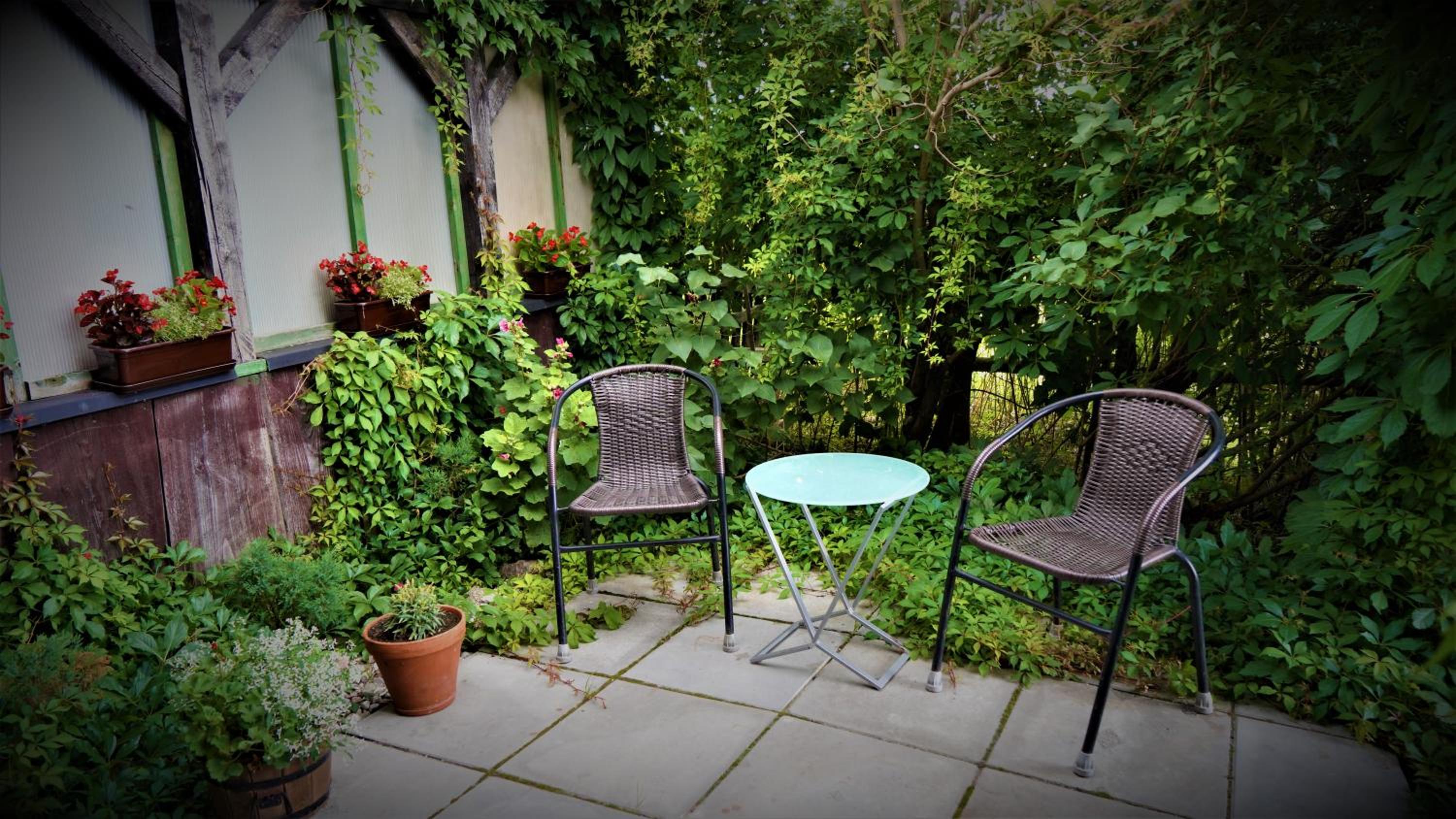 Family Room with Garden View - Photo 13