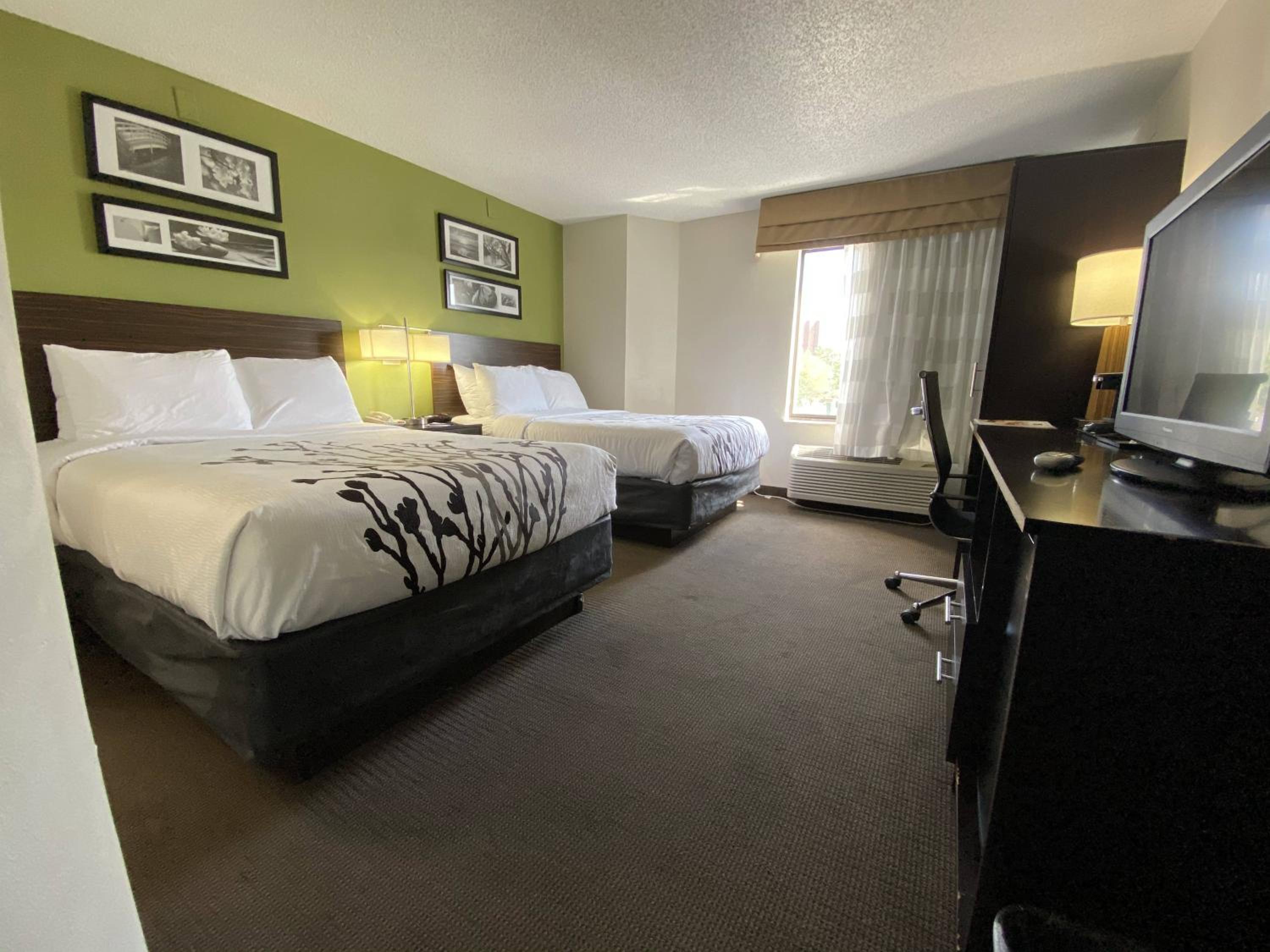 Standard Double Room with Two Double Beds - Non-Smoking - Photo 1