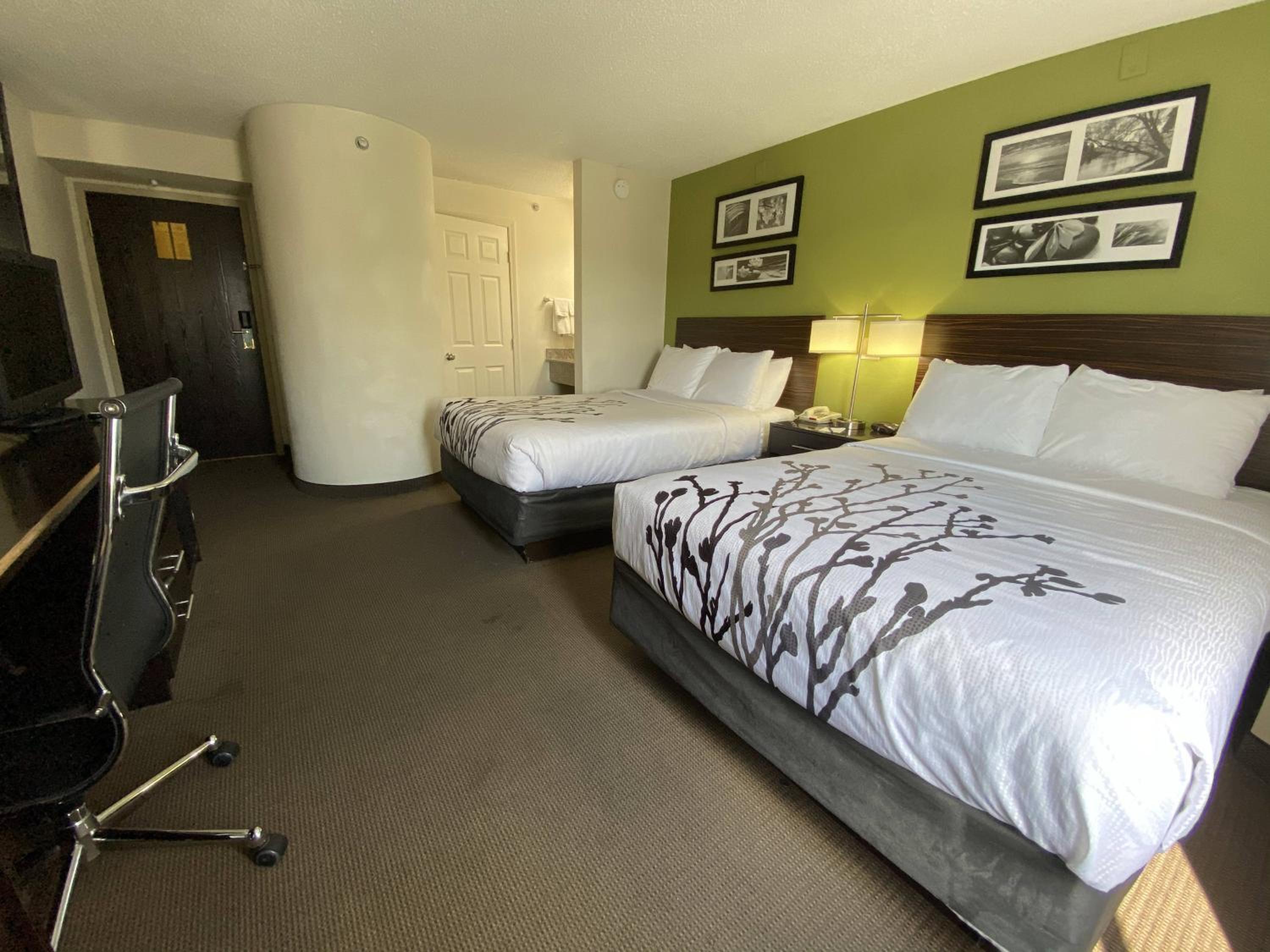 Standard Double Room with Two Double Beds - Non-Smoking - Photo 2