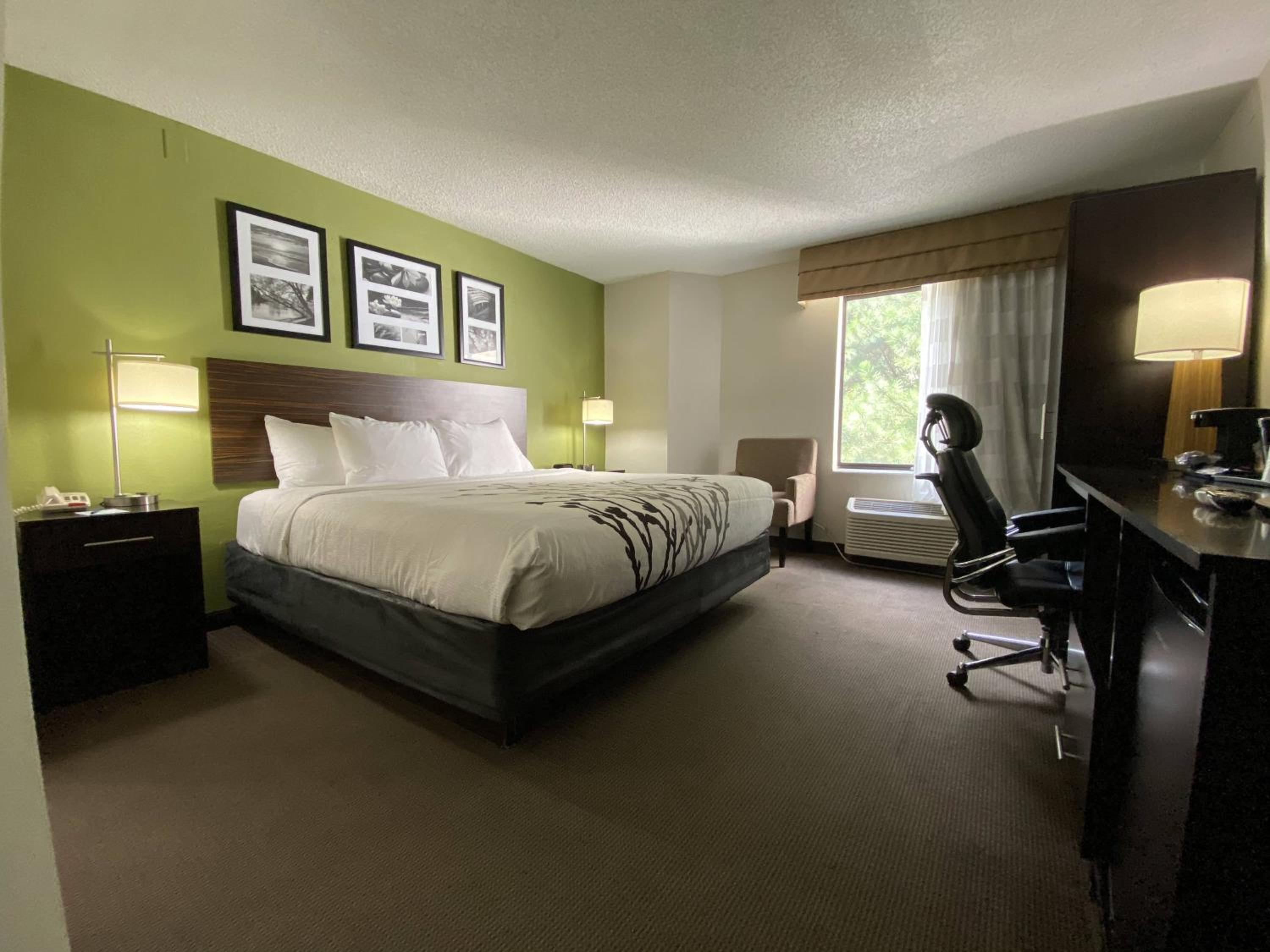 King Room - Non-Smoking - Photo 1