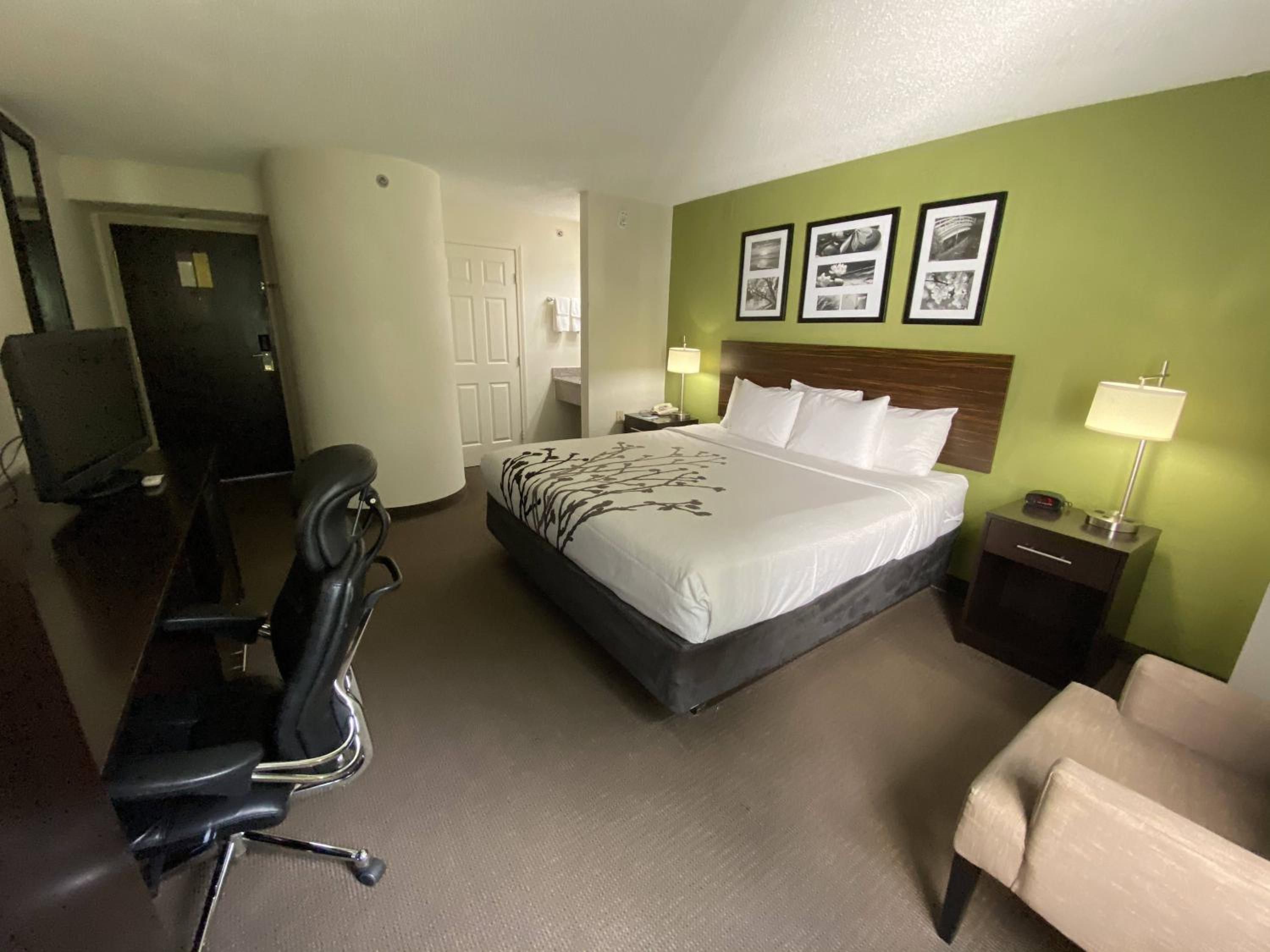 King Room - Non-Smoking - Photo 5