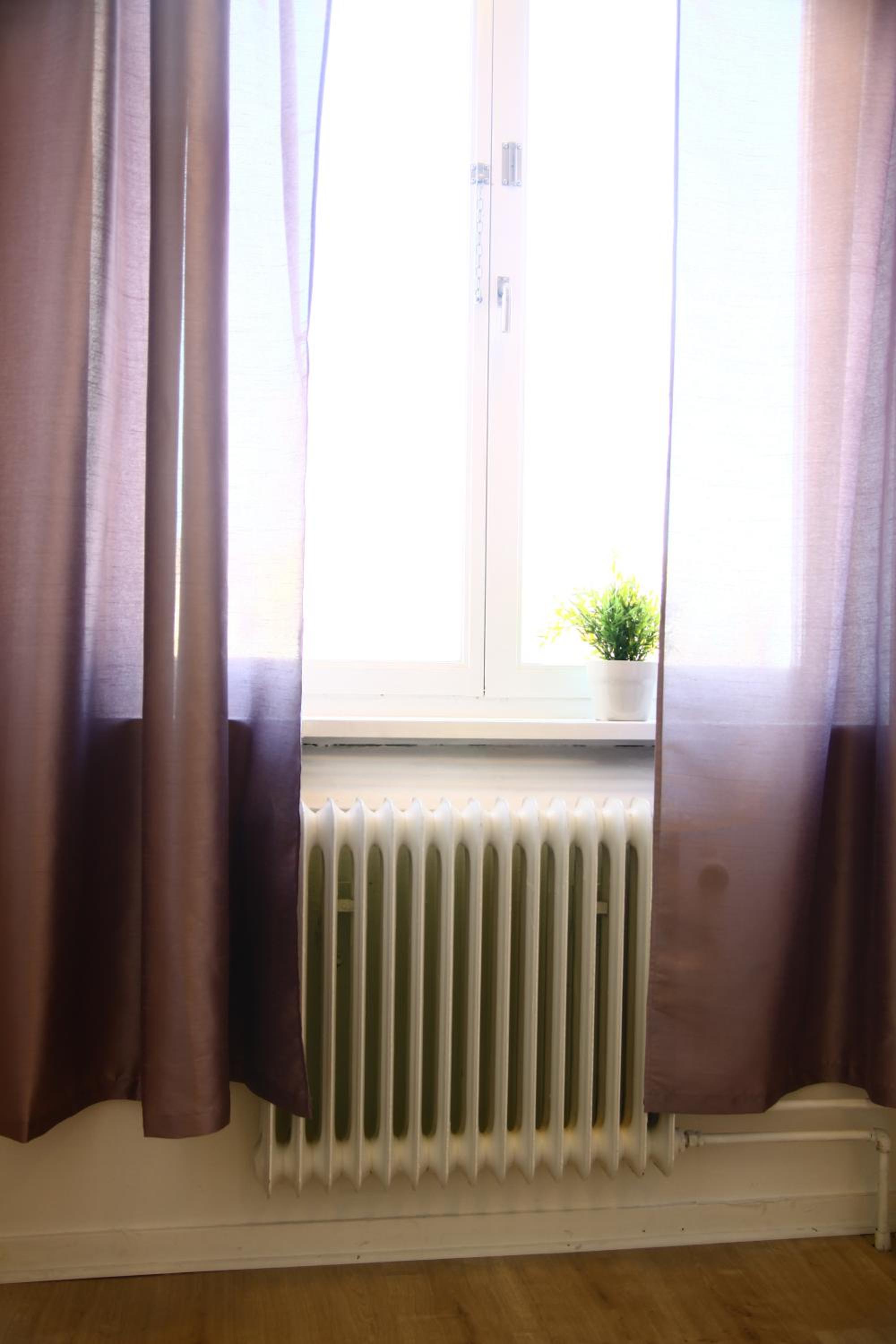 Twin Room photo 3