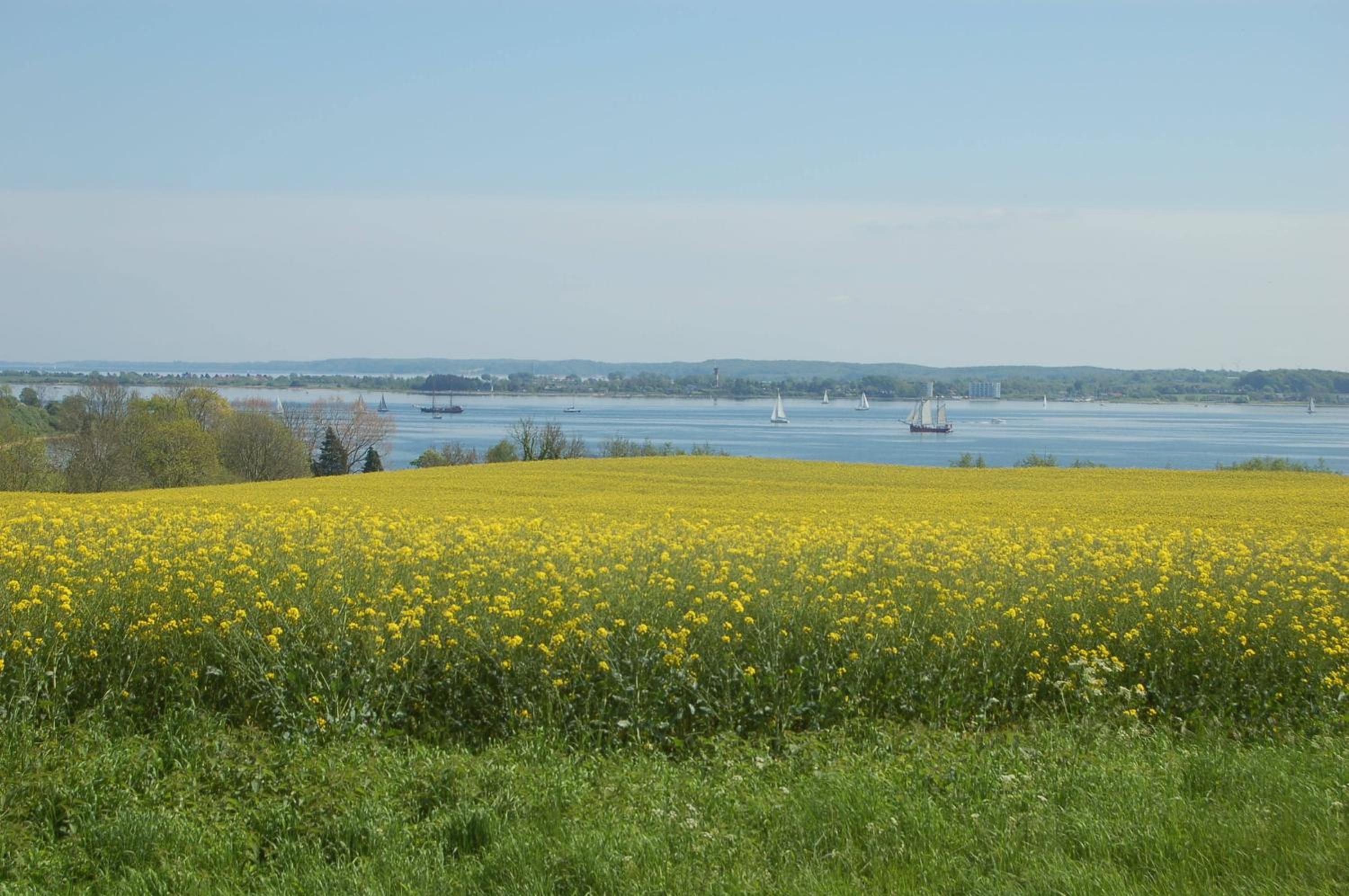 One-Bedroom Apartment with Sea View 2 photo 2